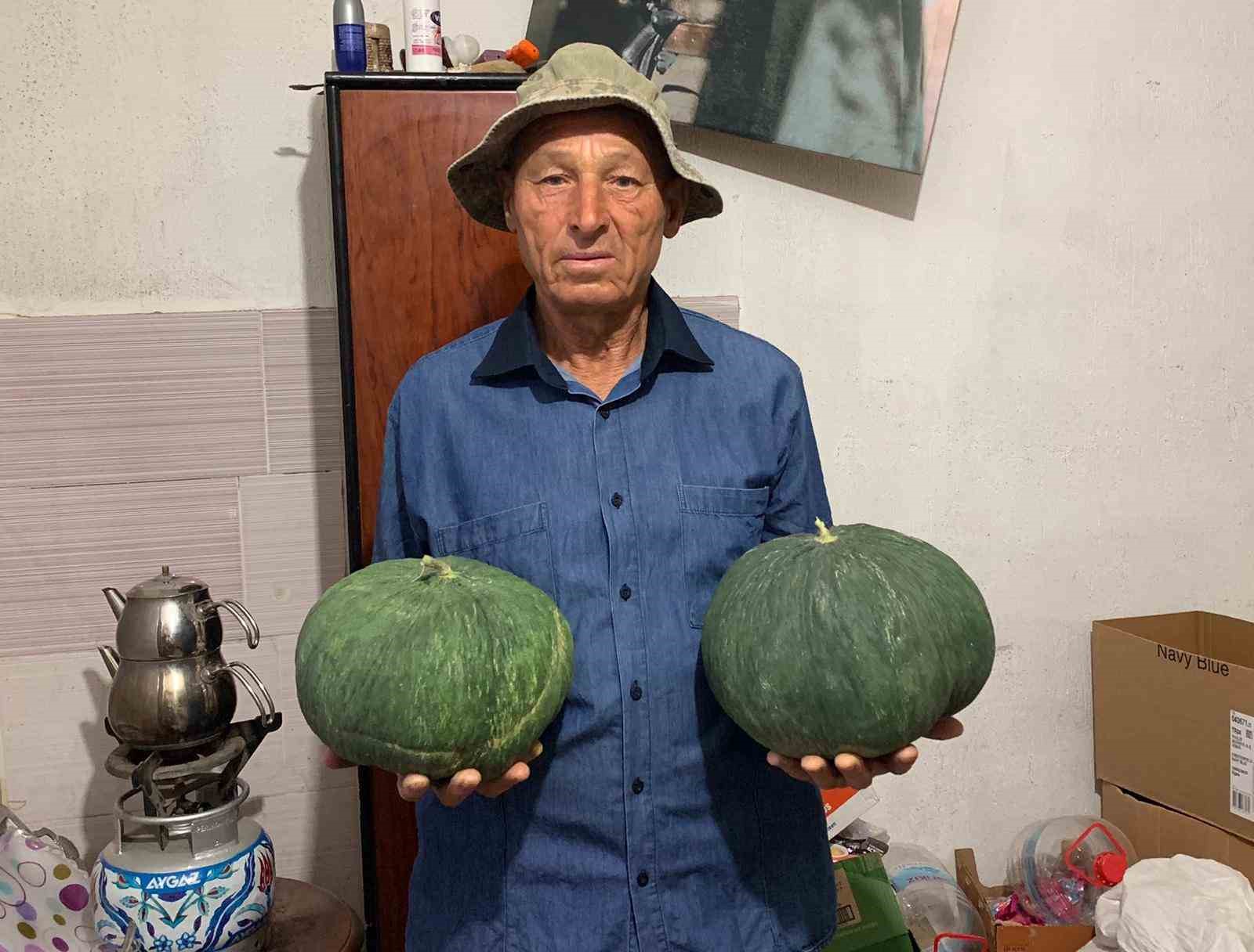 Dededen kalan tohumla "Çavuşlar Kavunu" yeniden canlandırıldı