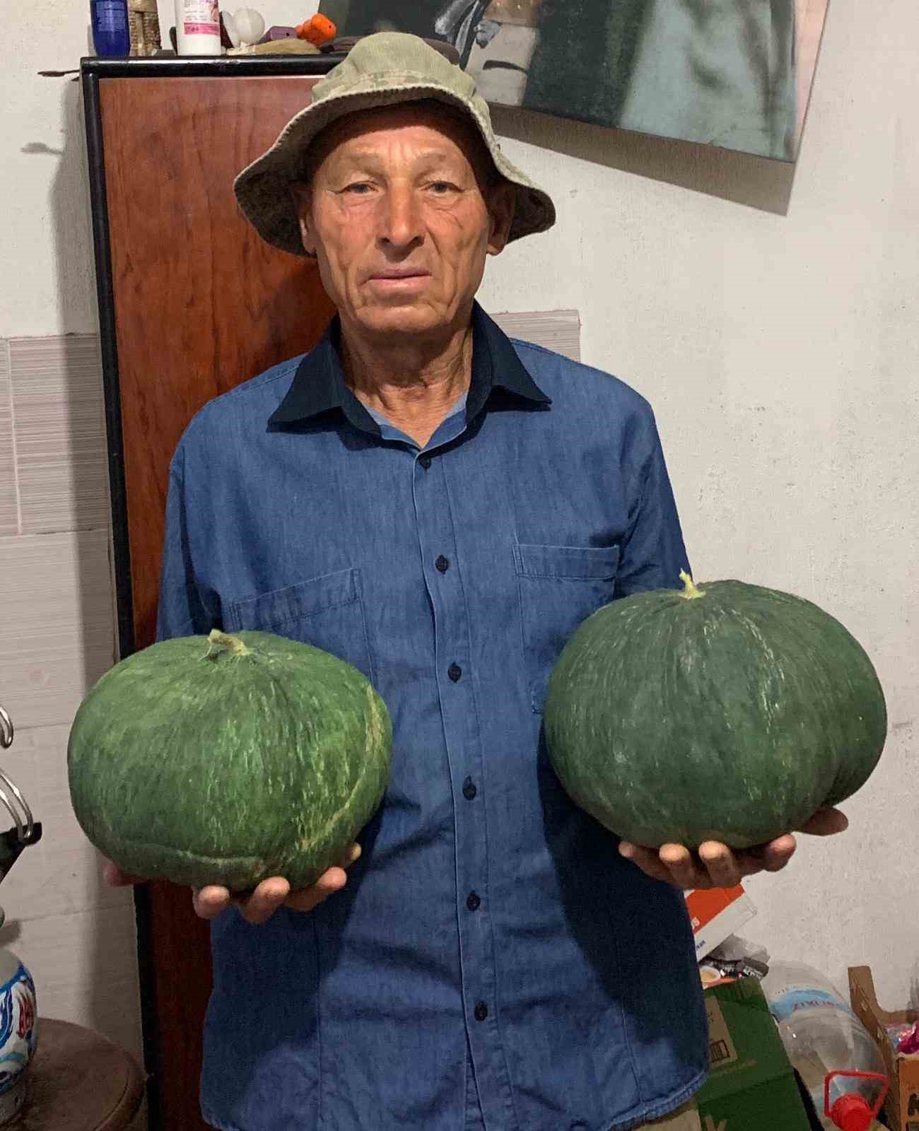 Dededen kalan tohumla "&Ccedil;avuşlar Kavunu" yeniden canlandırıldı
