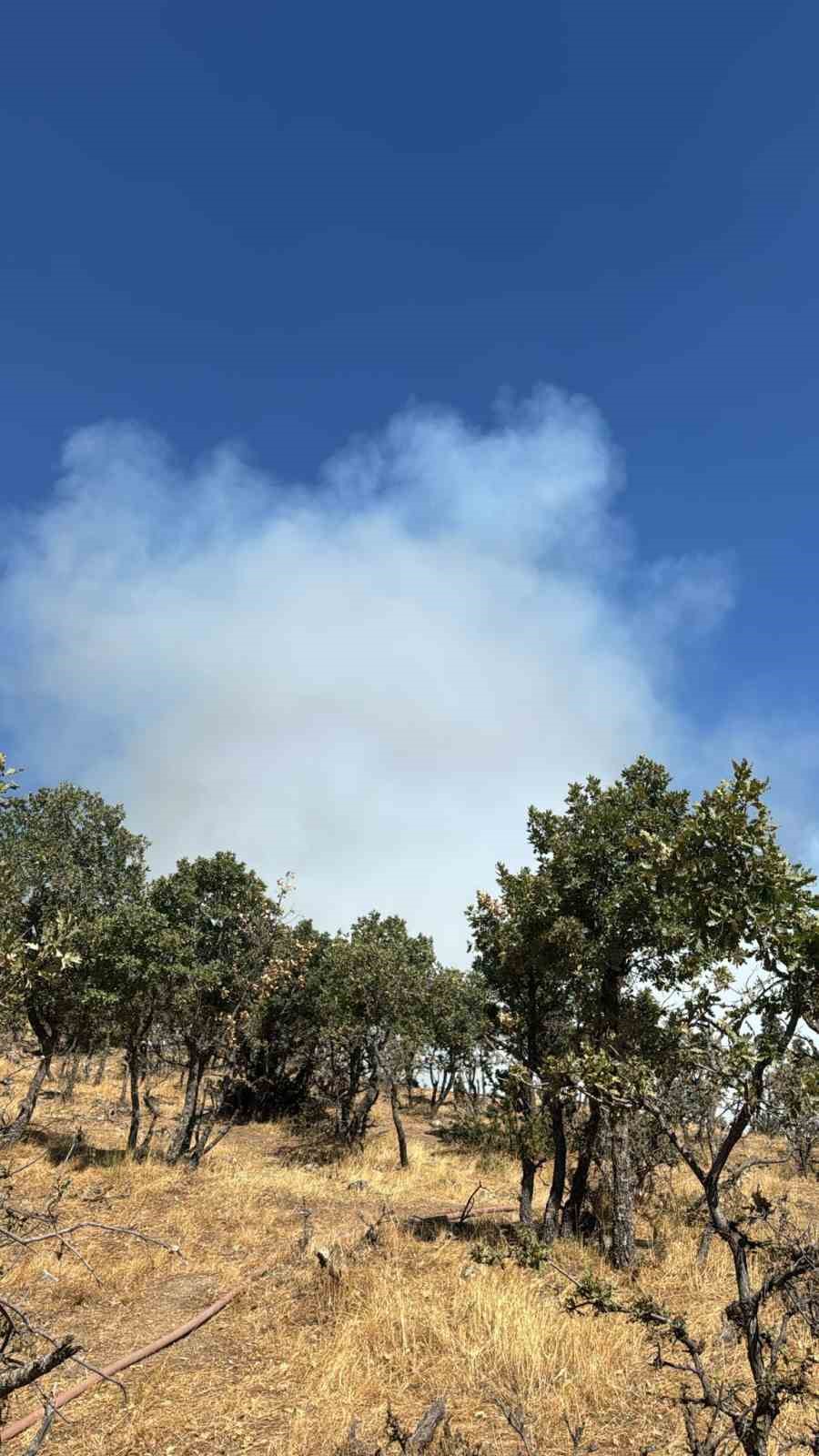 Buldan&rsquo;da ormanlık alanda yangın &ccedil;ıktı
