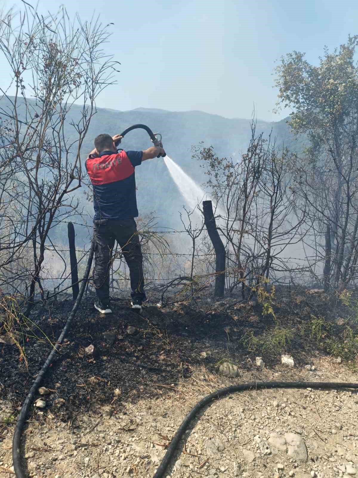 T&uuml;rkeli&rsquo;de ormanlık alanda yangın paniği
