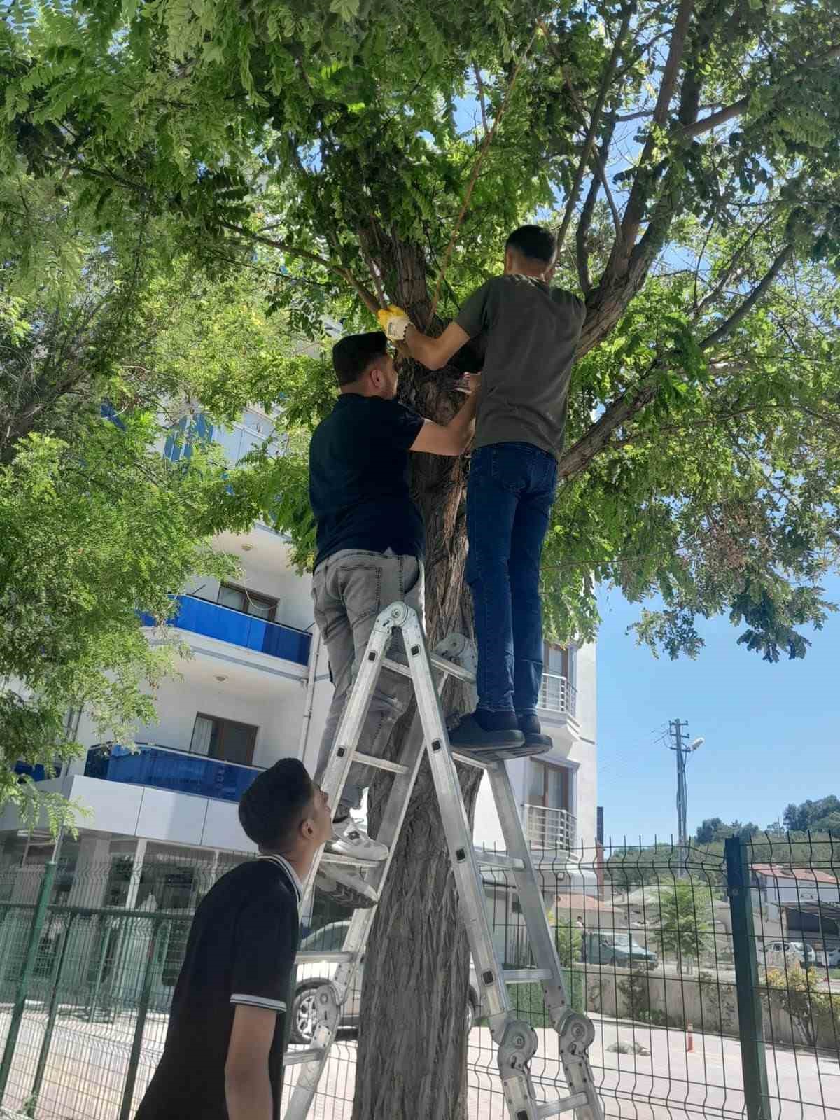 Karapınar’da esnafın kedi seferberliği