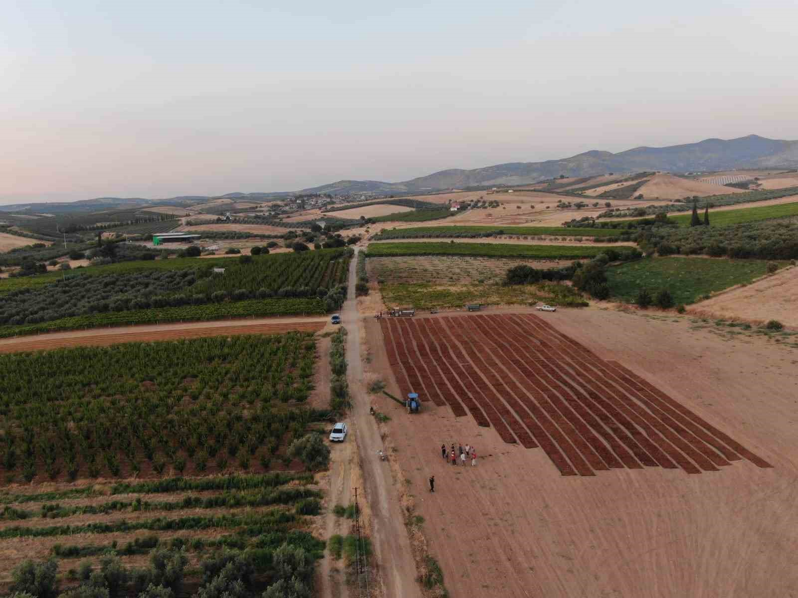 Manisa jandarmadan UTV&rsquo;li &uuml;z&uuml;m devriyesi
