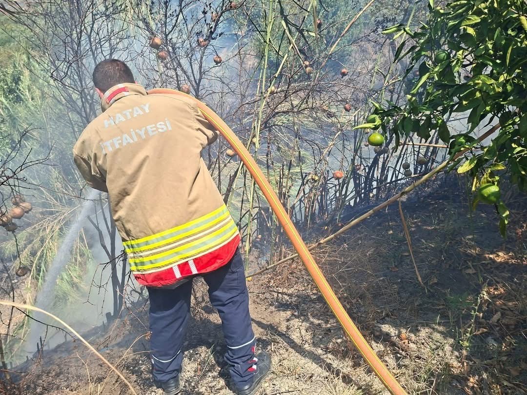 Samandağ&rsquo;da bah&ccedil;e yangını kısa s&uuml;rede s&ouml;nd&uuml;r&uuml;ld&uuml;
