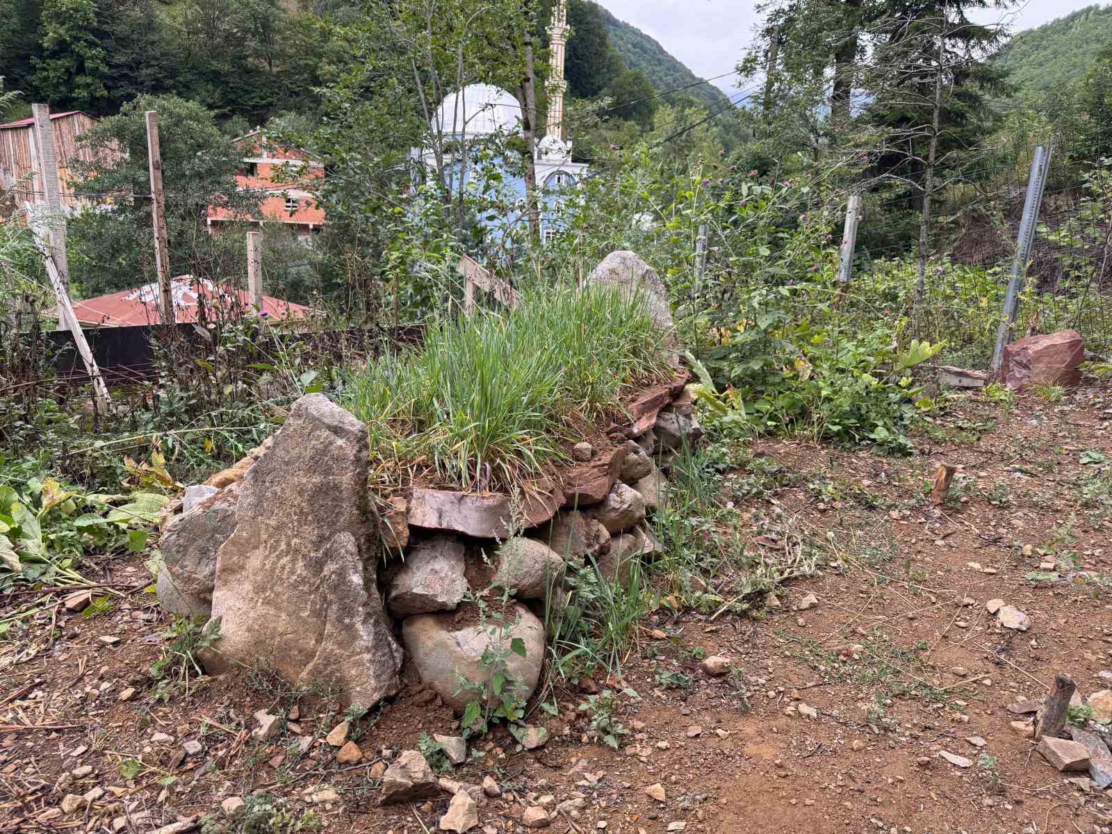 Giresun’un manevi değerlerinden Hacı İlyas’ın mezarının türbeye dönüşmesi isteniyor
