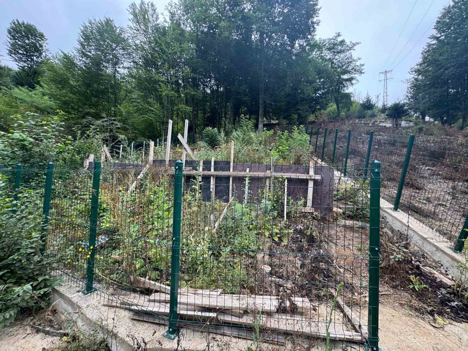 Giresun’un manevi değerlerinden Hacı İlyas’ın mezarının türbeye dönüşmesi isteniyor