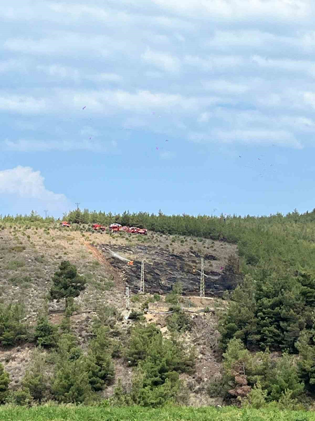 Arsuz’da çıkan orman yangını kontrol altına alındı