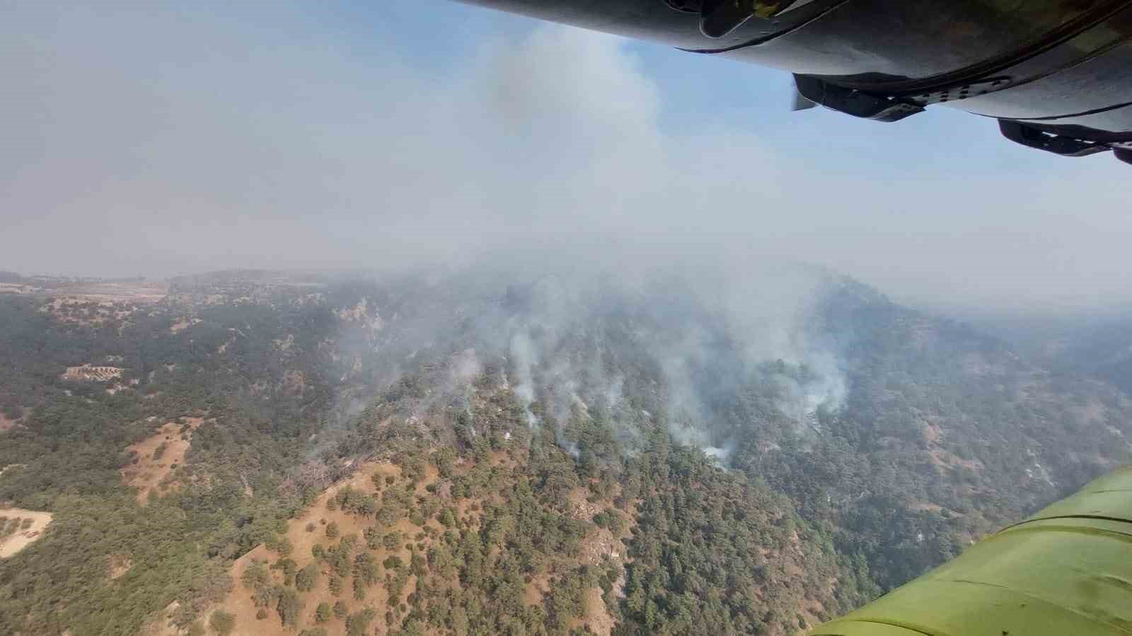 Denizli’den Aydın’a sıçrayan yangında müdahale çalışmaları sürüyor
