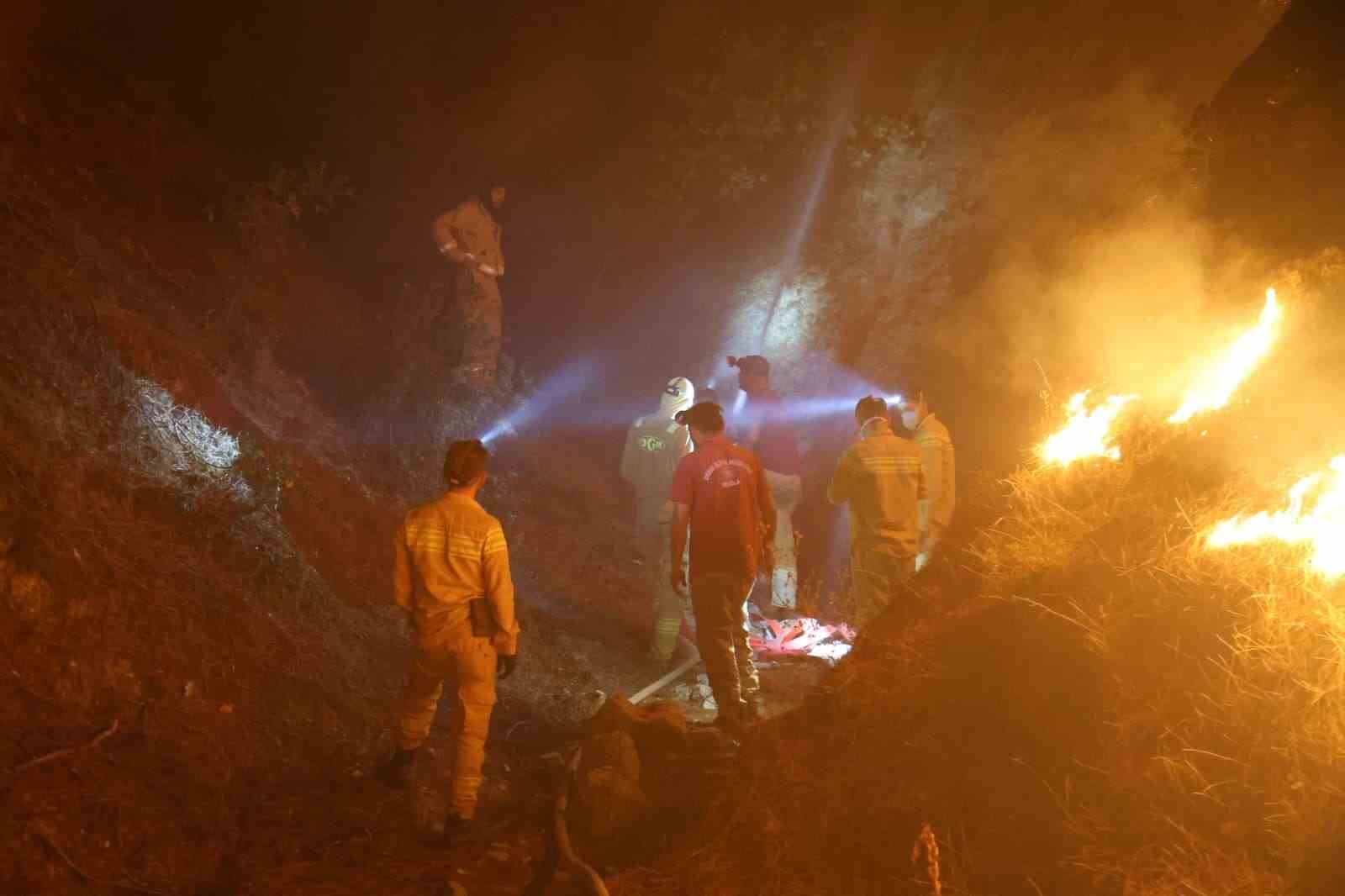 Denizli&rsquo;den Aydın&rsquo;a sı&ccedil;rayan yangında m&uuml;dahale &ccedil;alışmaları s&uuml;r&uuml;yor
