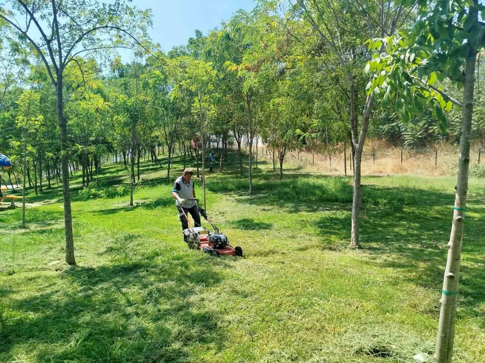 Gebze Tatlıkuyu Vadisi Kent Parkı’na düzenli bakım
