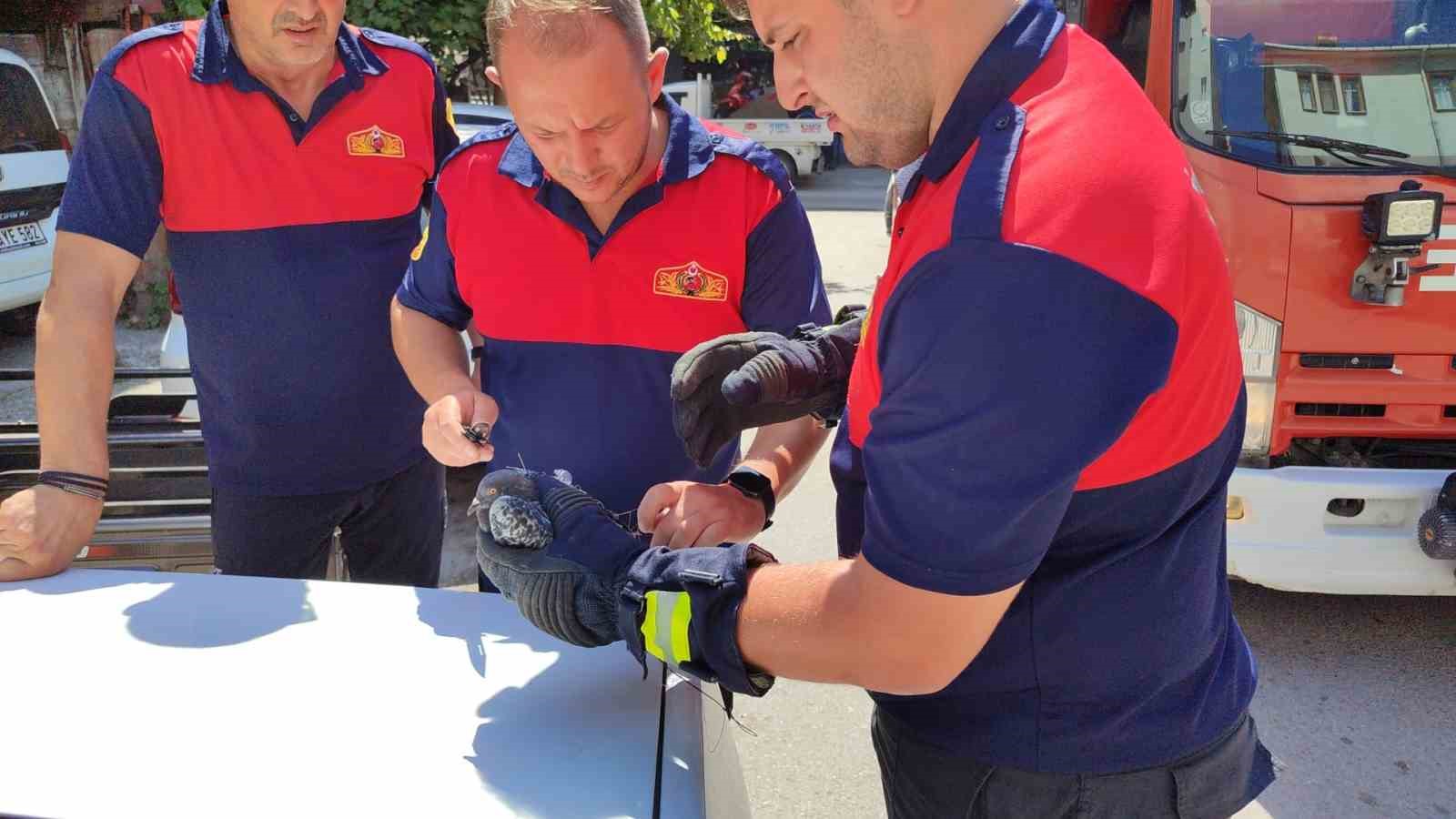 &Ccedil;atıdaki ağlara takılan g&uuml;vercini itfaiye kurtardı
