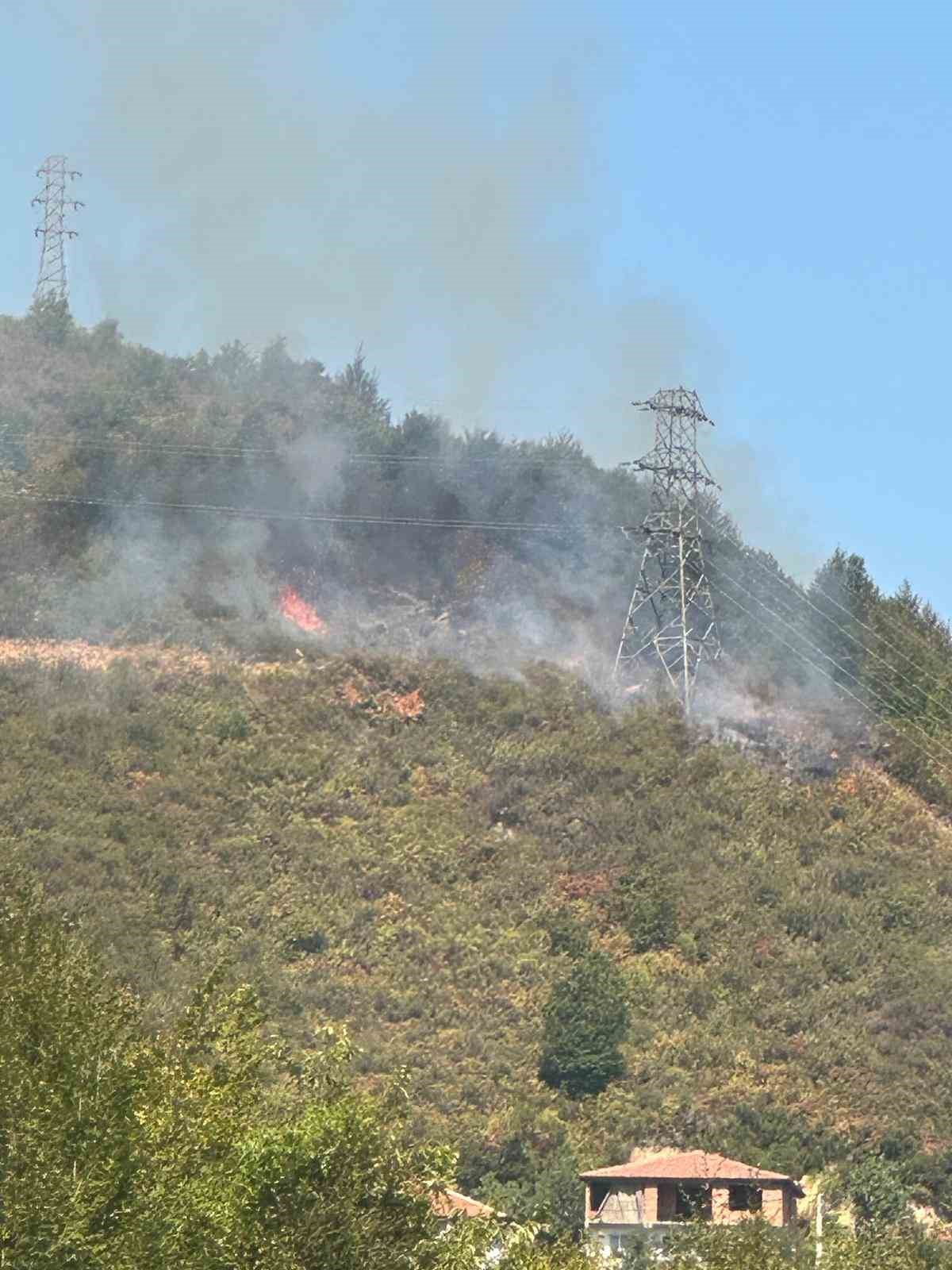 Ormanlık alanda &ccedil;ıkan yangın 2 saatte s&ouml;nd&uuml;r&uuml;ld&uuml;

