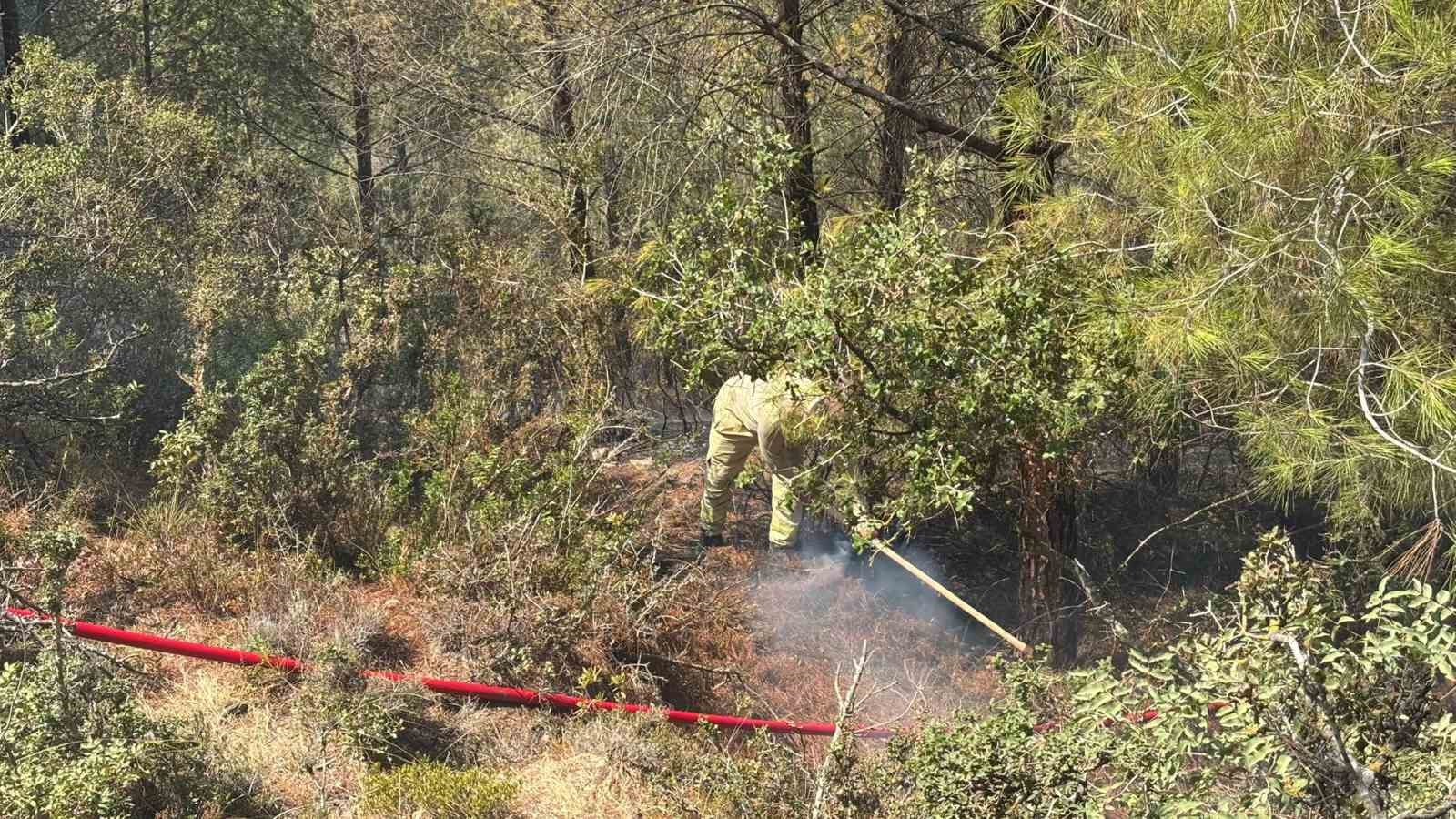 Adana’da orman yangını kontrol altına alındı