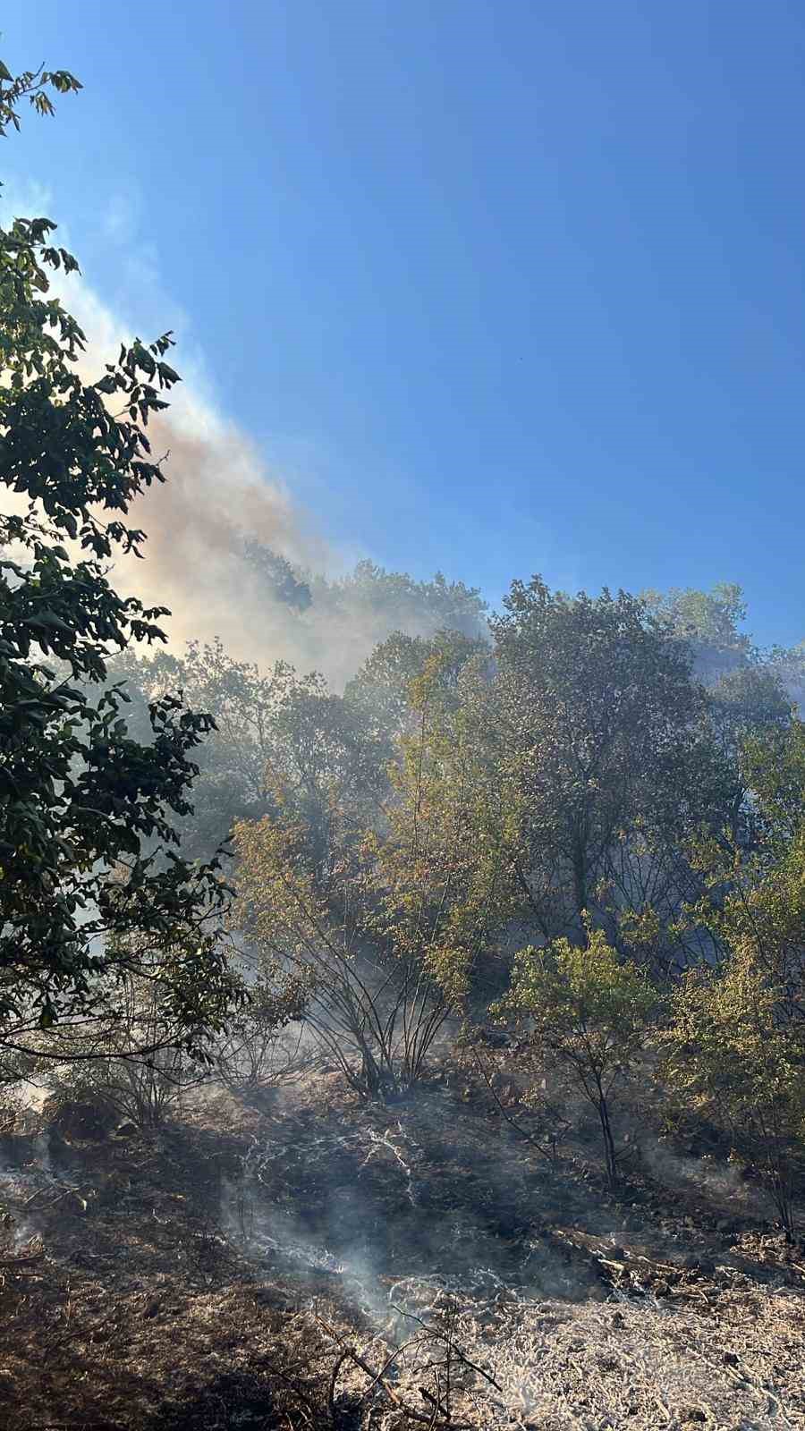 Bolu’da otluk alanda çıkan yangın ormana sıçramadan söndürüldü