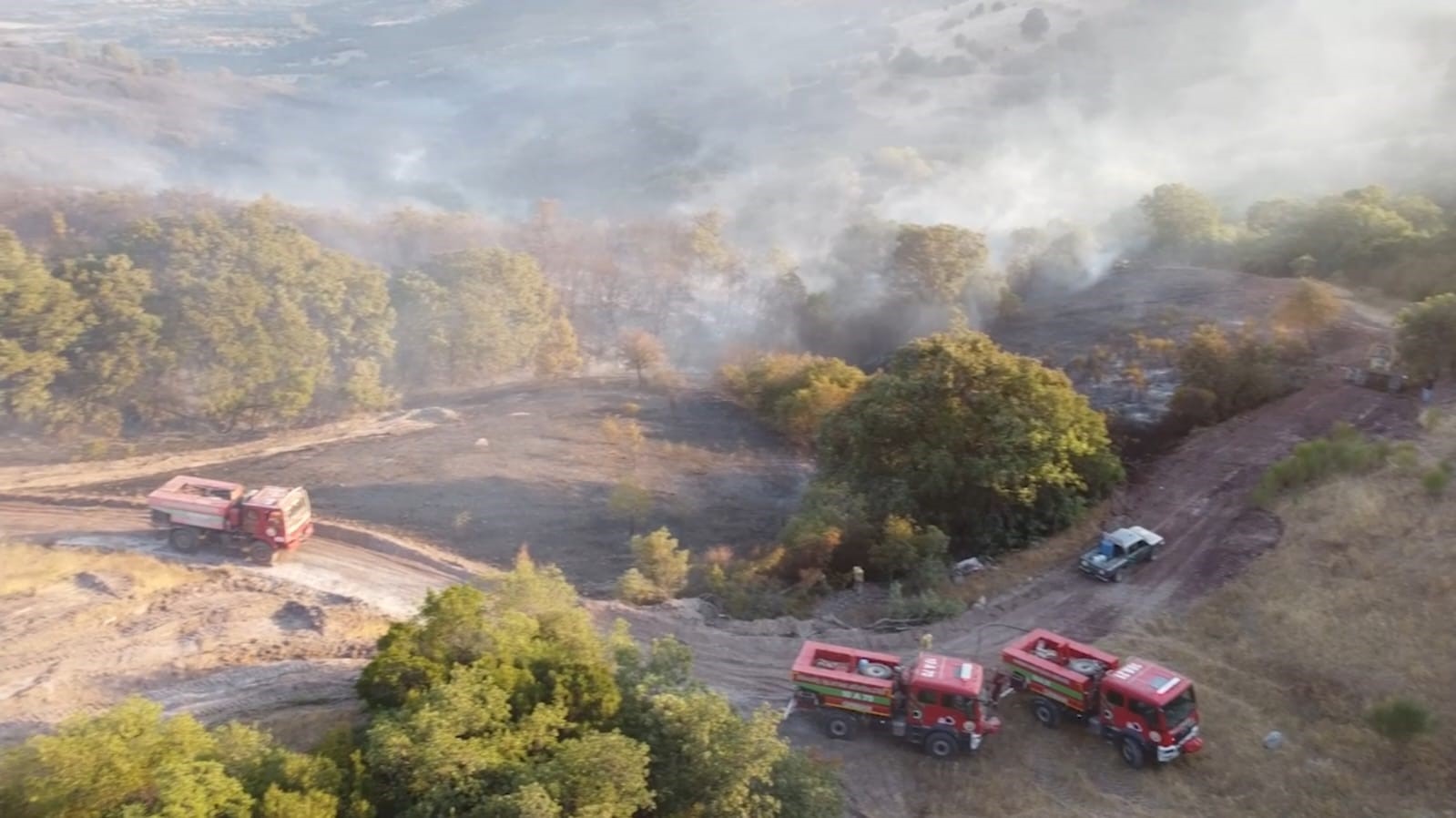 Balıkesir’deki orman yangını kontrol altına alındı