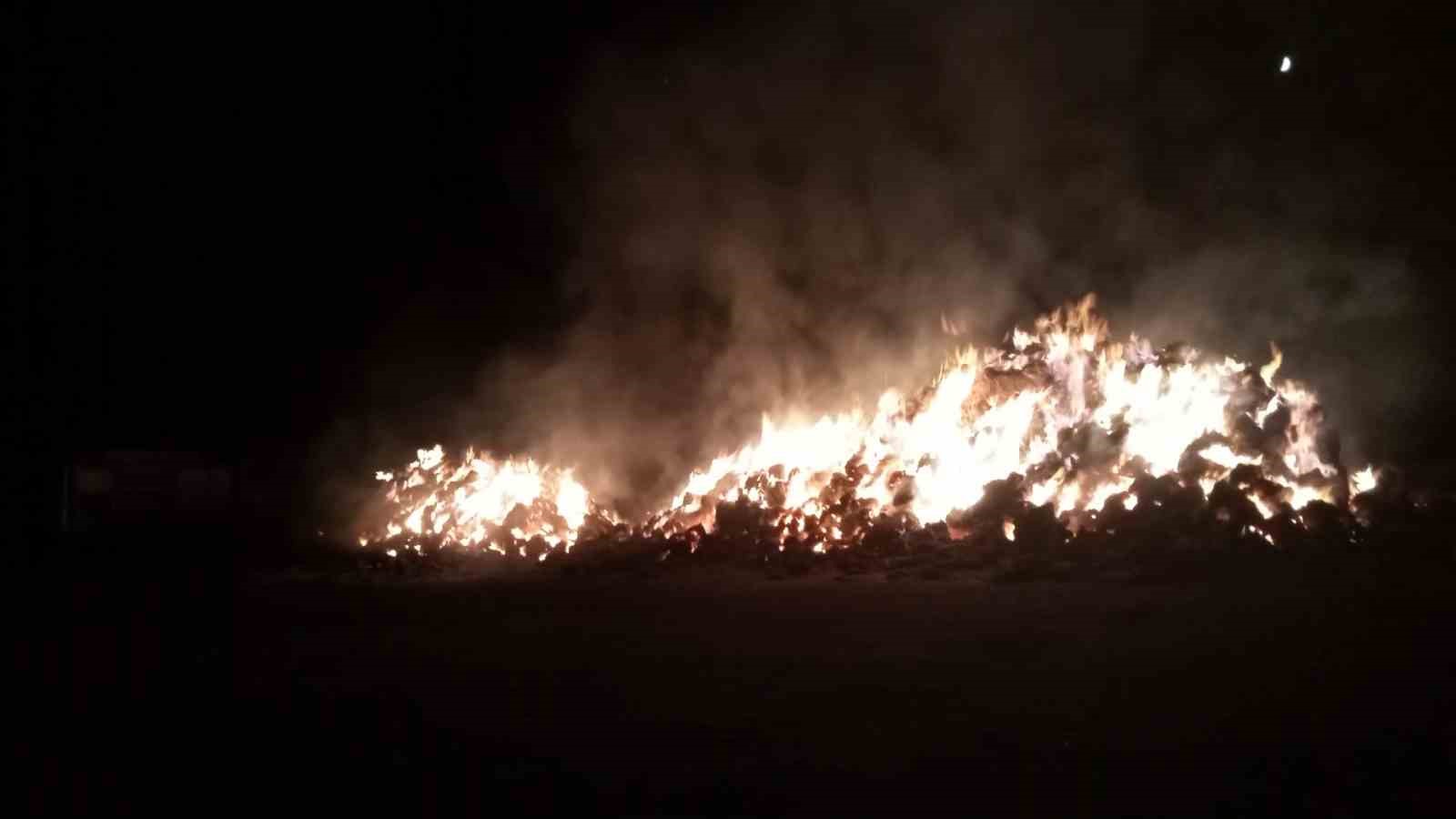 Erzurum&rsquo;oa ot yangını
