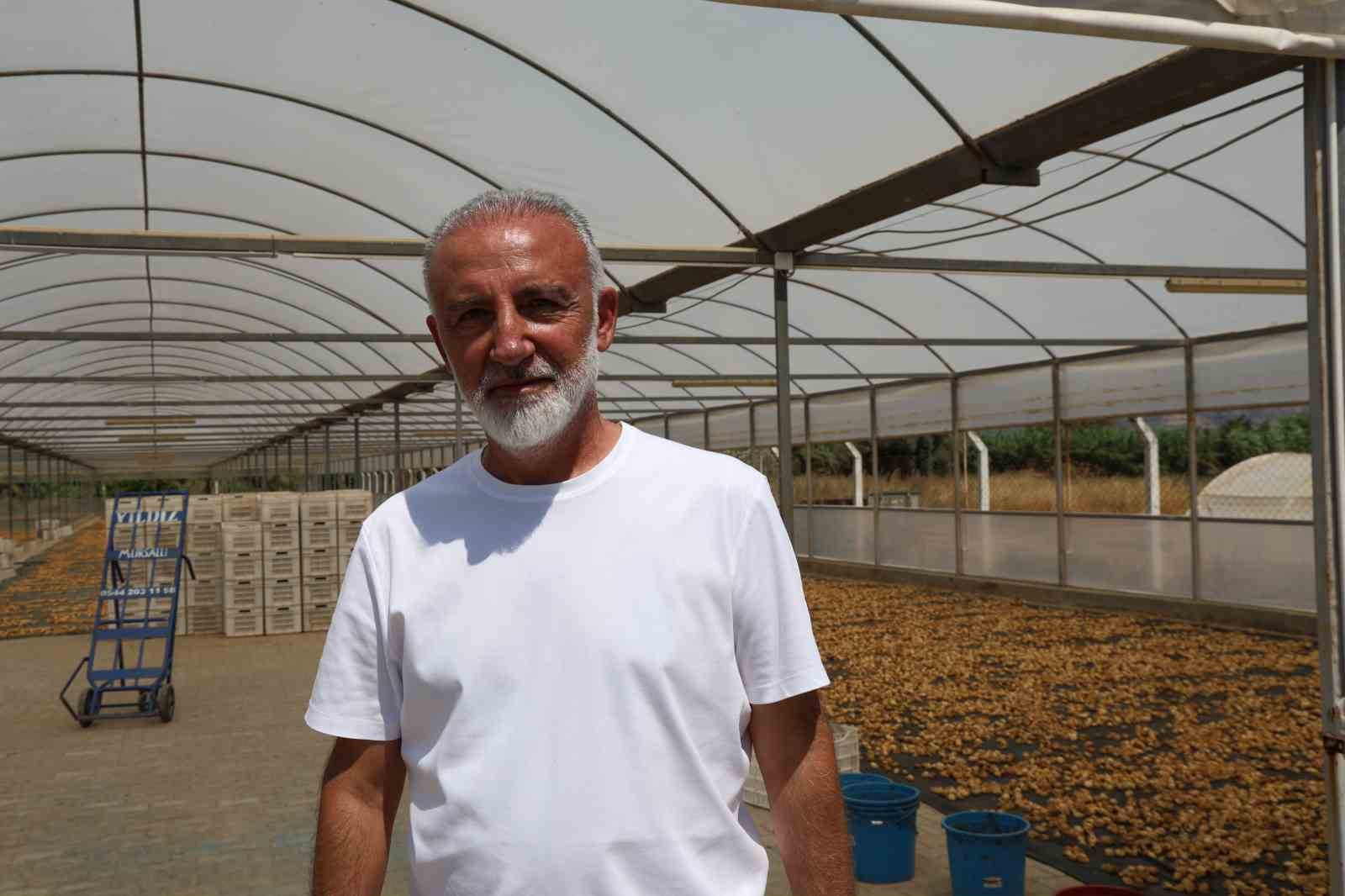İncirlerini kurutmaya başlayan üreticilerin en büyük sıkıntısı hırsızlar