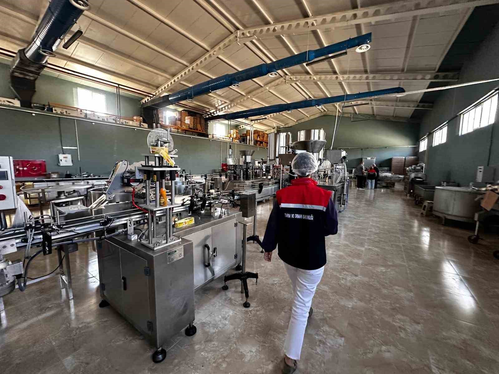 Gıda satışı yapan 254 işyeri denetlendi
