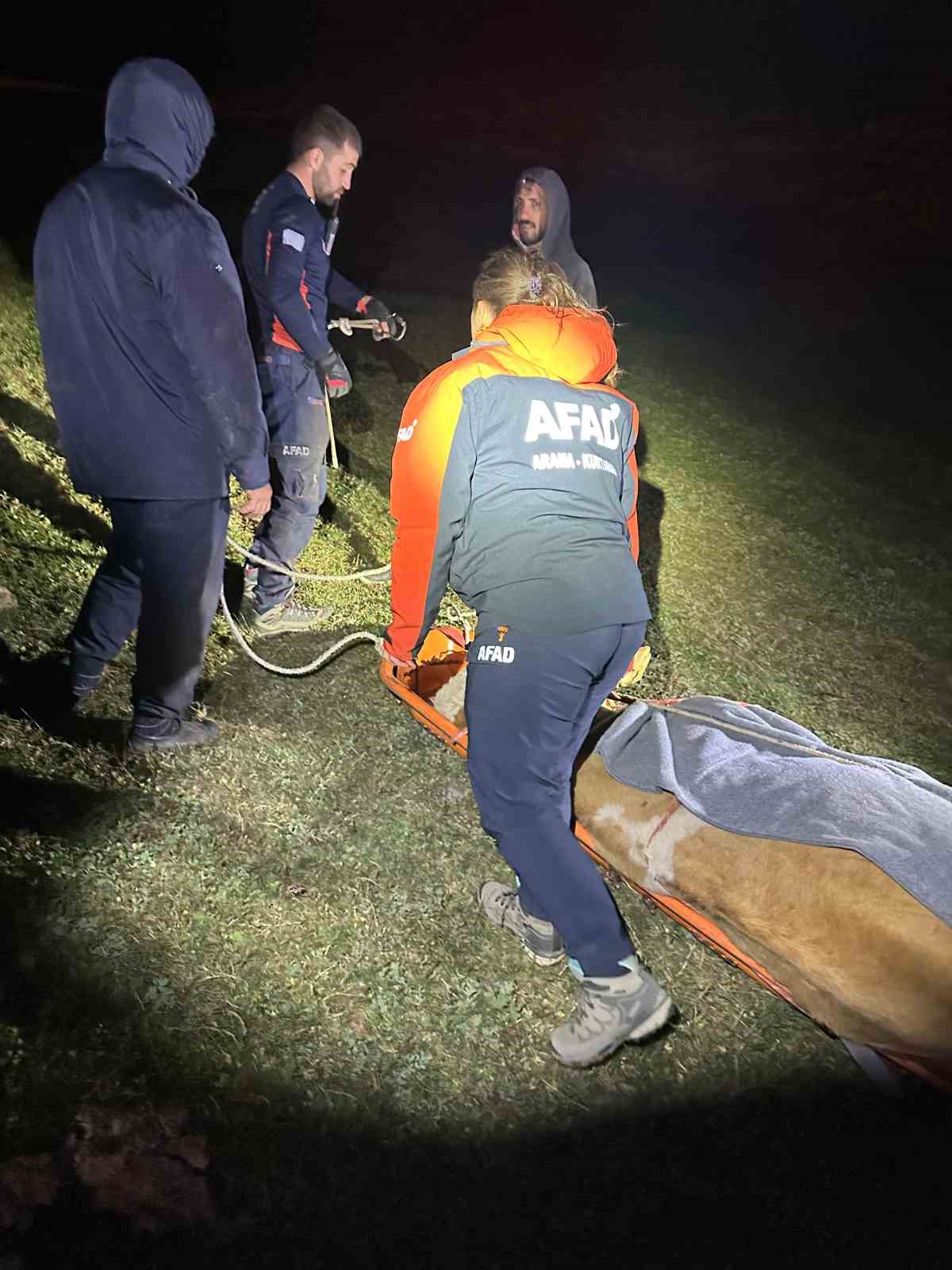 Yamaçtan düşerek mahsur kalan inek AFAD ekiplerince kurtarıldı