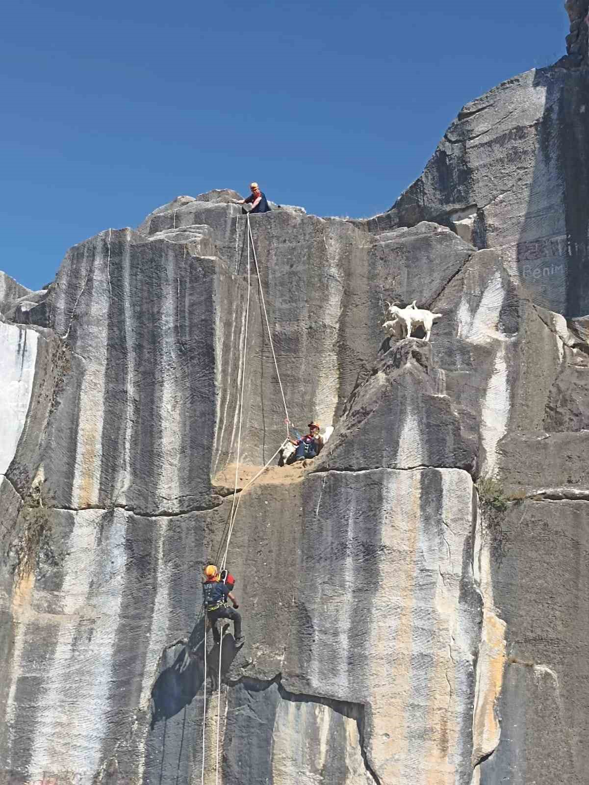 Kütahya’da AFAD’dan keçi kurtarma operasyonu