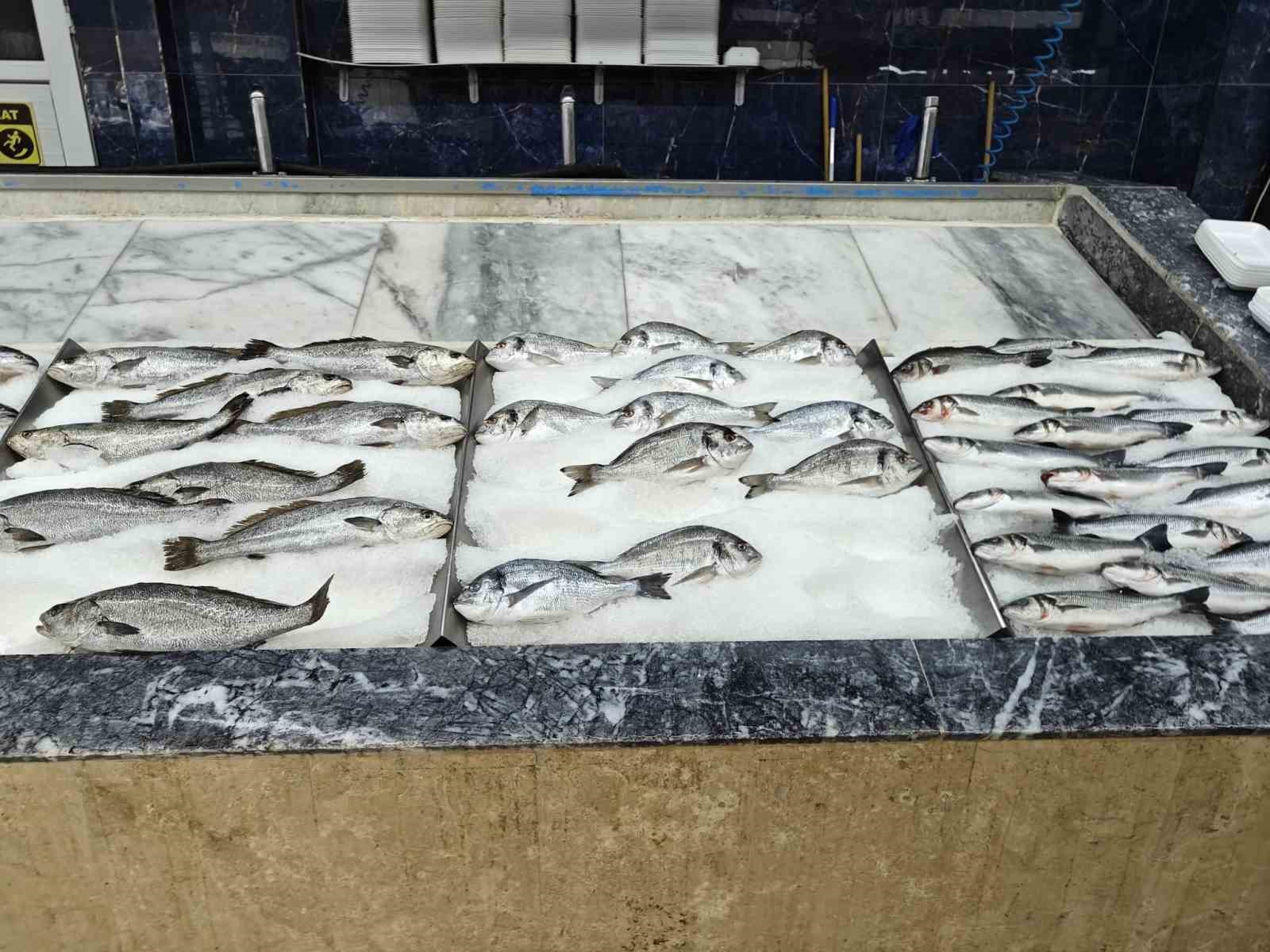 Balık&ccedil;ılar yeni sezona hazır
