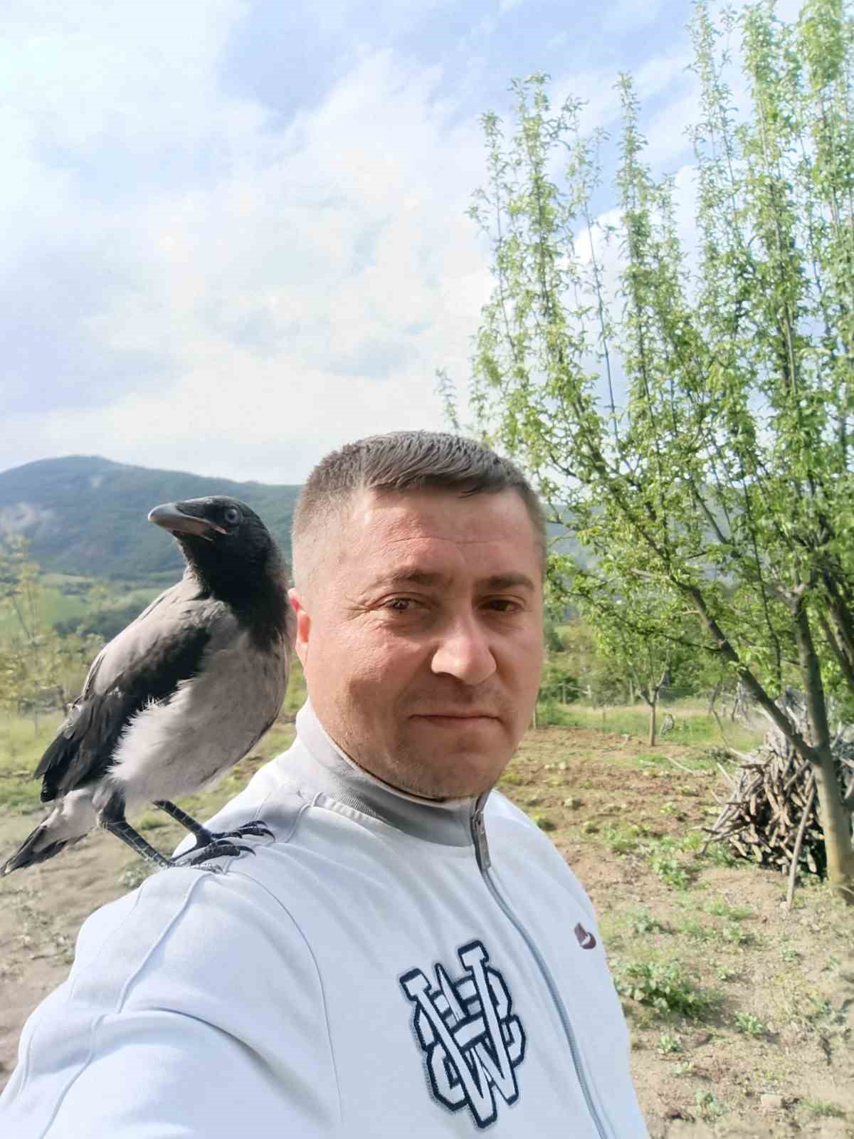 Vatandaşın k&ouml;peklerden kurtardığı karga il&ccedil;enin maskotu oldu
