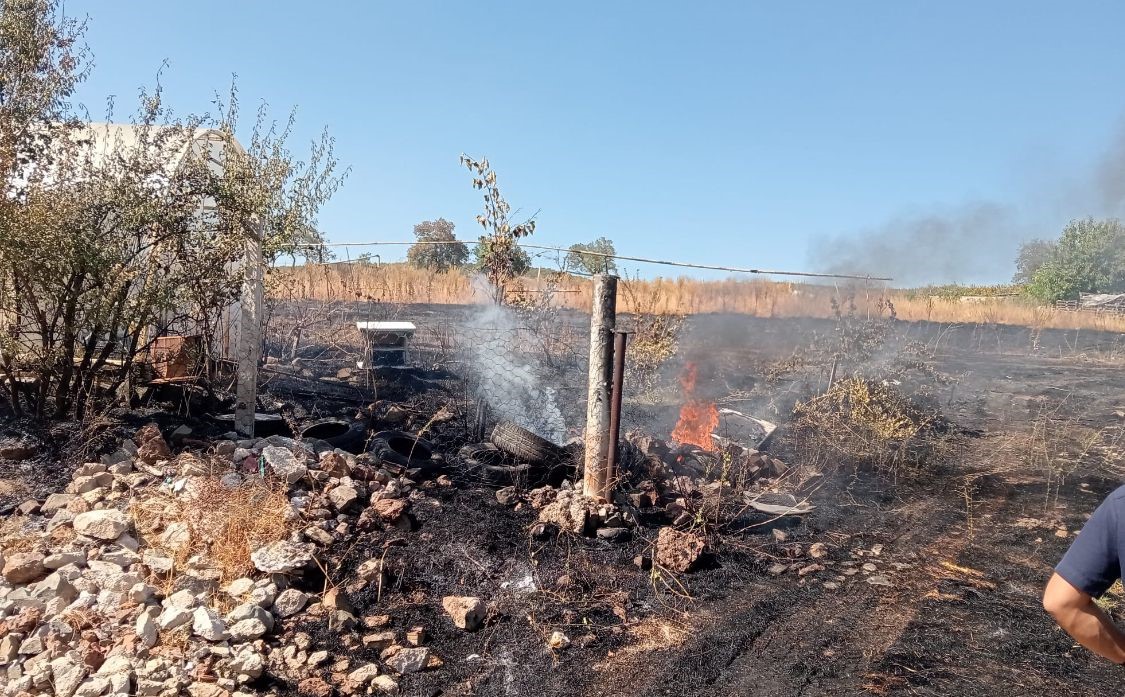 Tarlada başlayan yangın r&uuml;zgarın etkisiyle seraya sı&ccedil;radı
