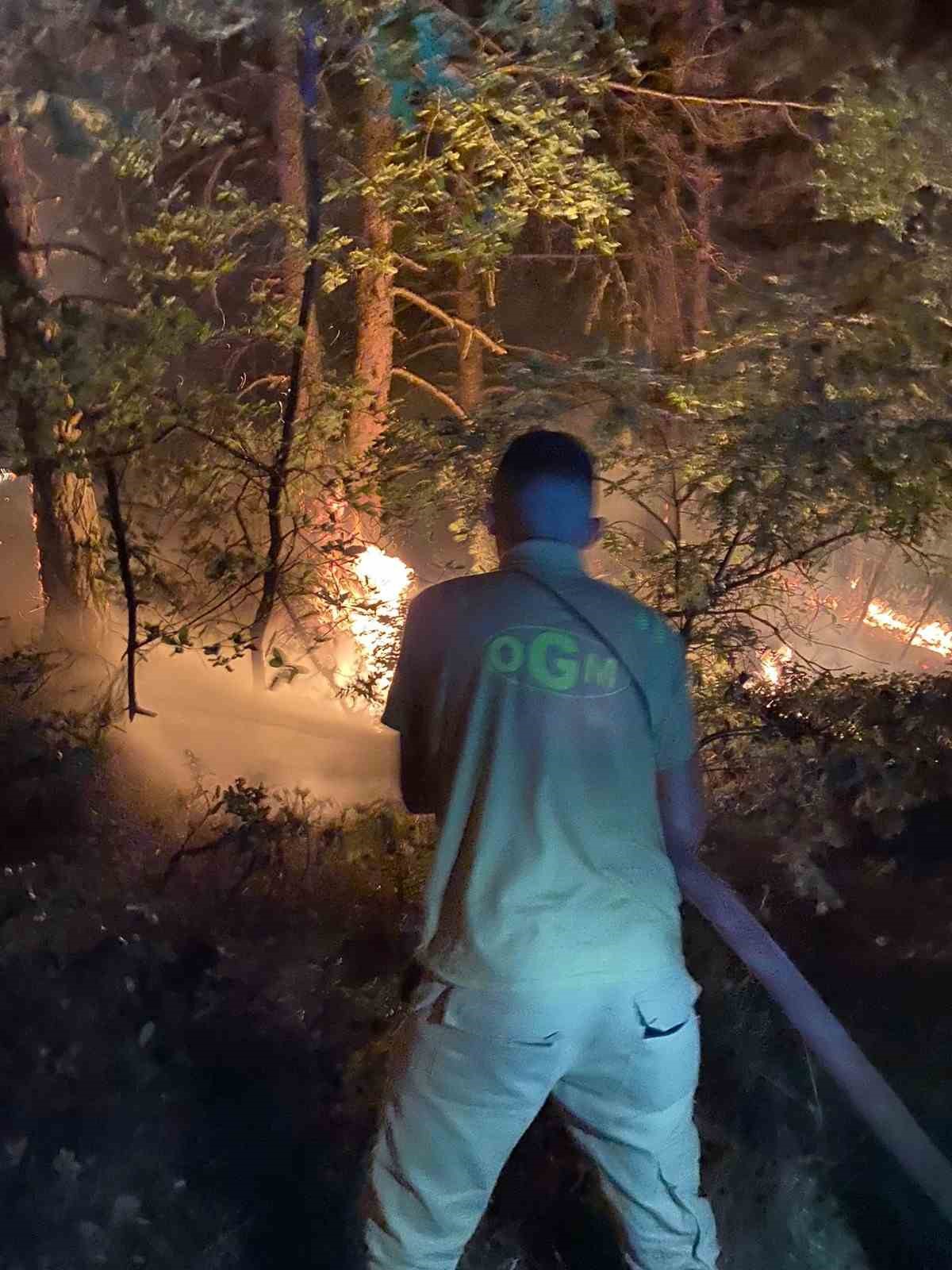 Geyve&rsquo;de &ccedil;ıkan yangında 5 d&ouml;n&uuml;m alan zarar g&ouml;rd&uuml;
