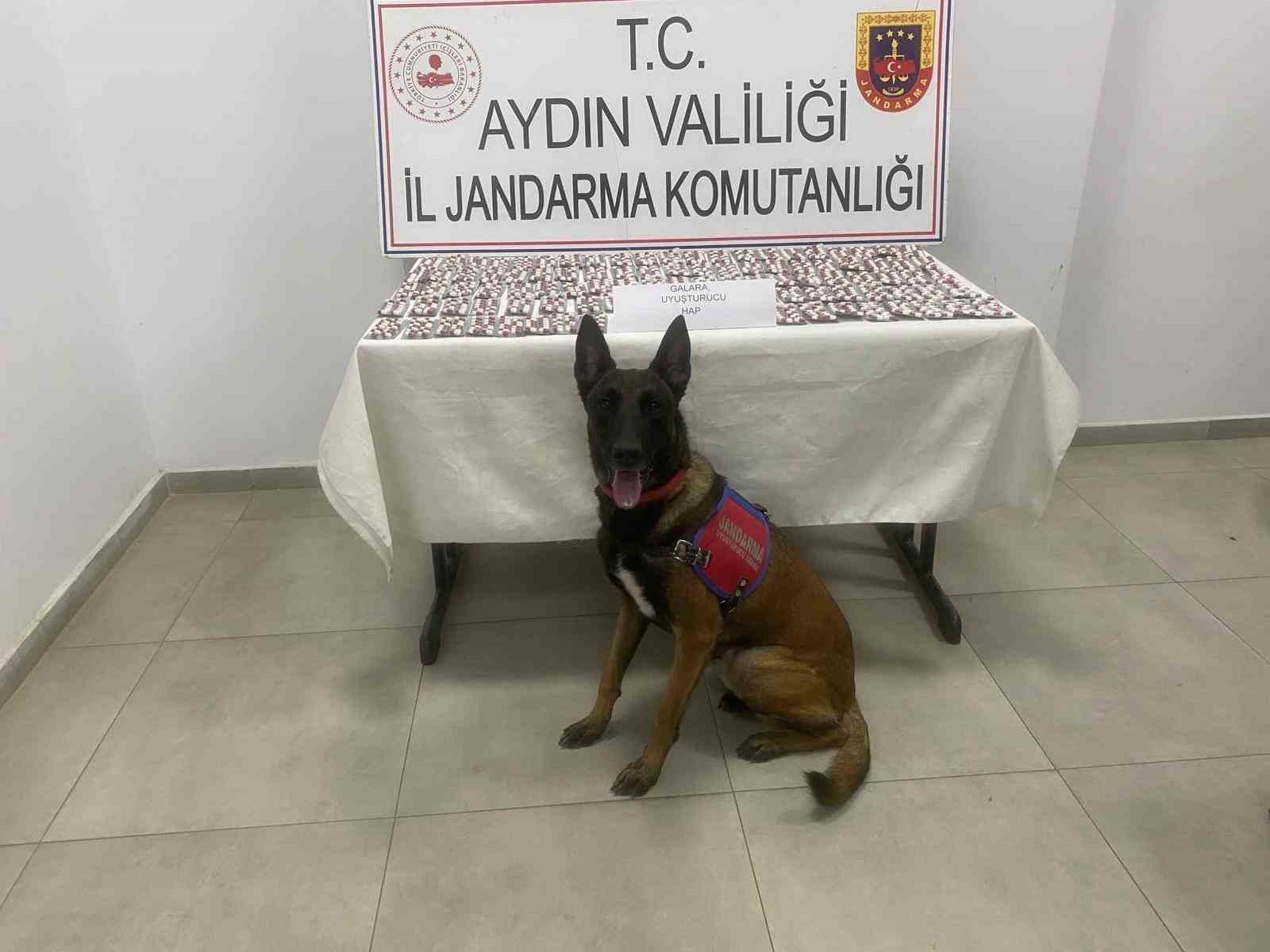 Aydın’da jandarmadan uyuşturucu operasyonu: 3 gözaltı