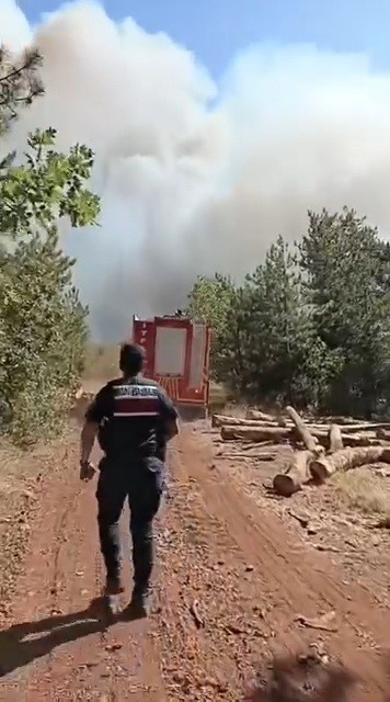 Karab&uuml;k&rsquo;te orman yangını &ccedil;ıktı
