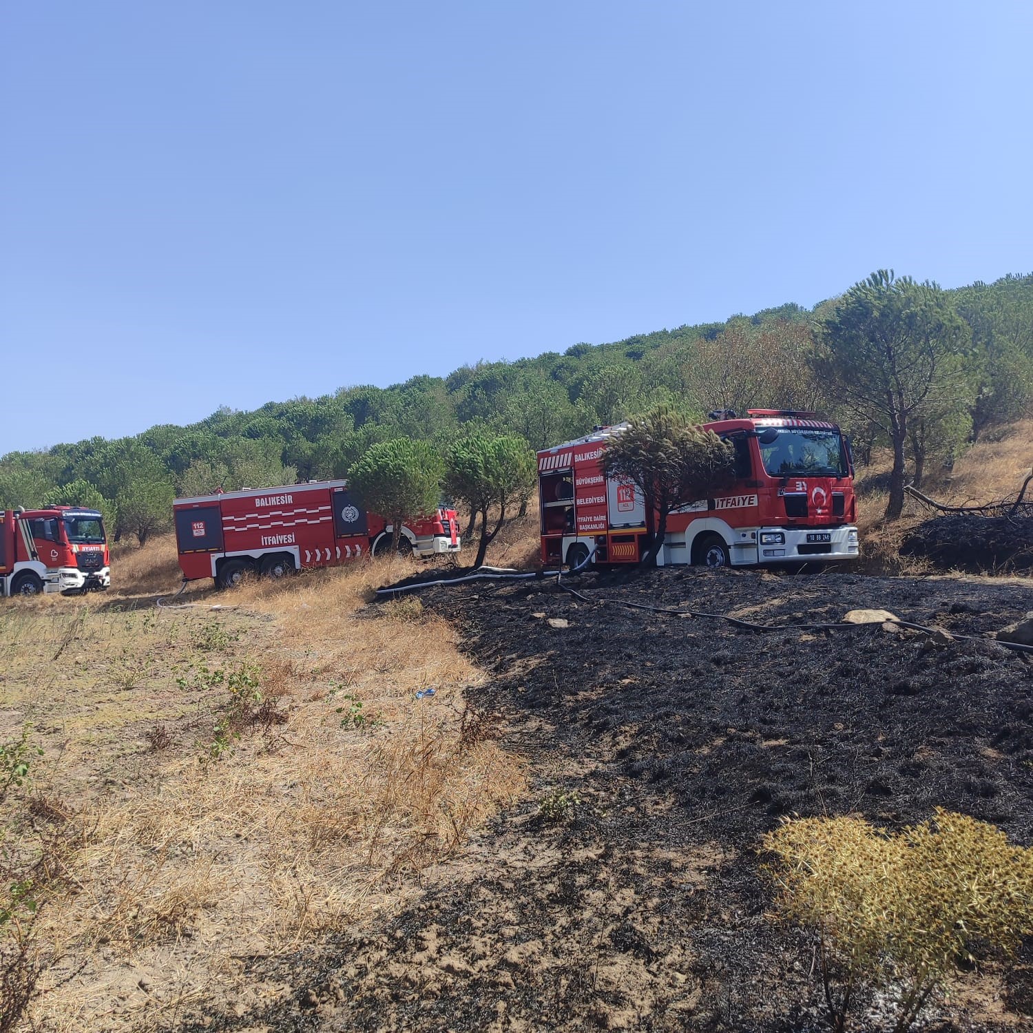 Susurluk’ta orman yangını kontrol altına alındı