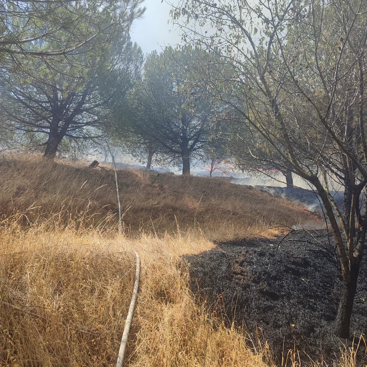 Susurluk&rsquo;ta orman yangını kontrol altına alındı
