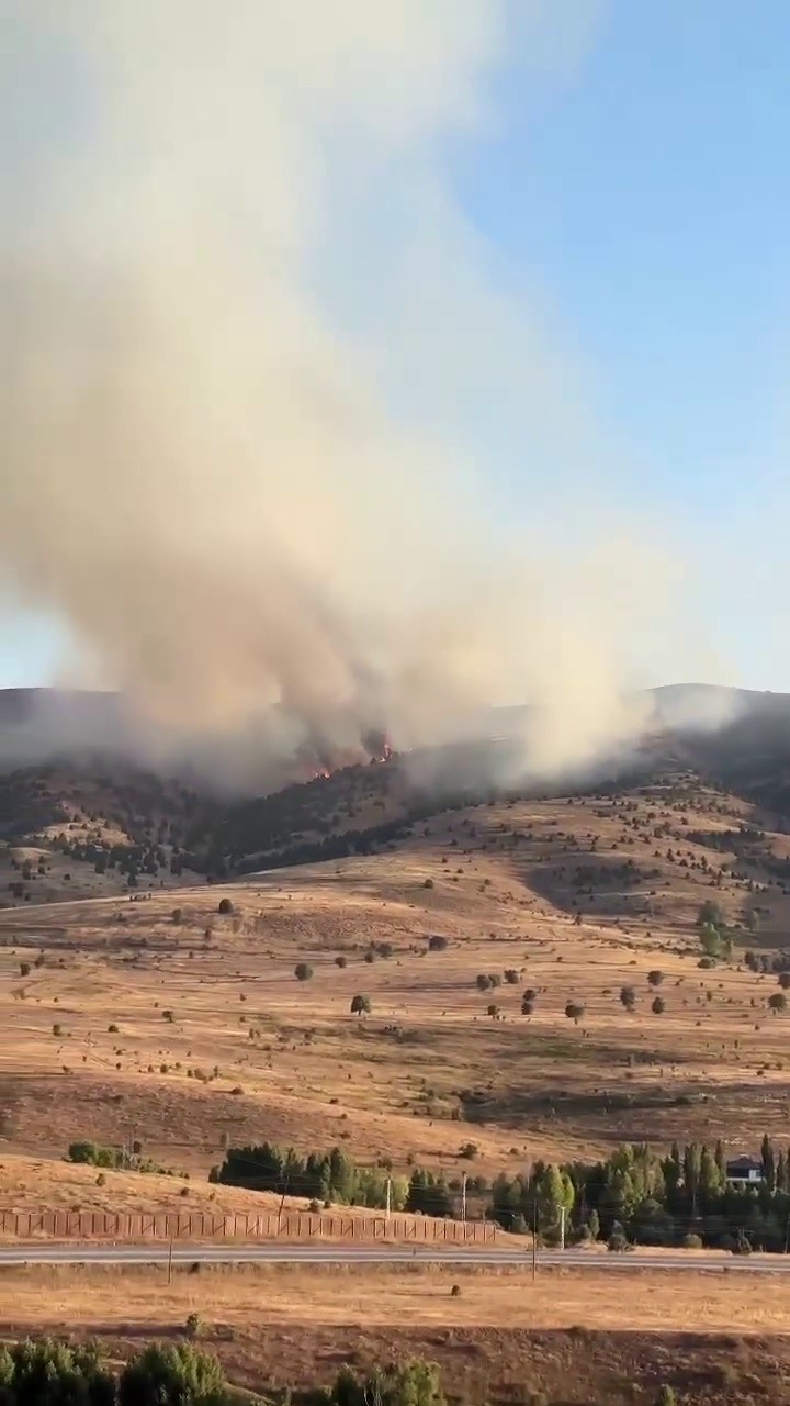 Sivas&rsquo;ta &ccedil;ıkan &ouml;rt&uuml; yangınına m&uuml;dahale s&uuml;r&uuml;yor
