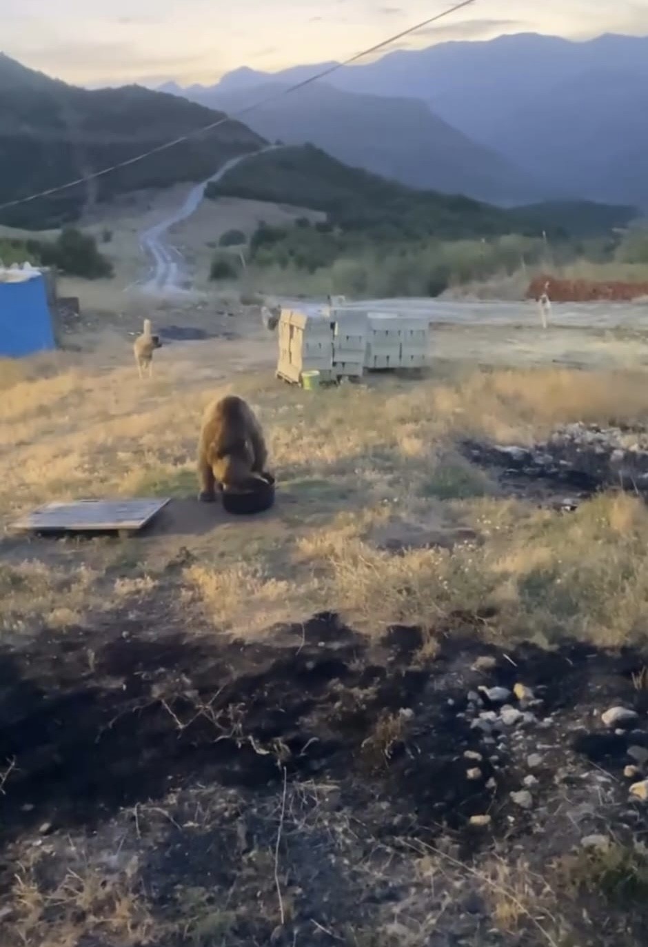 Tunceli&rsquo;de karakolun davetsiz misafiri: Bozayı
