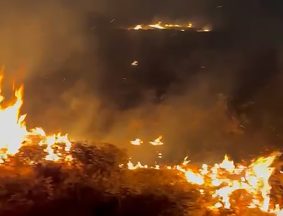Bitlis’te örtü yangını