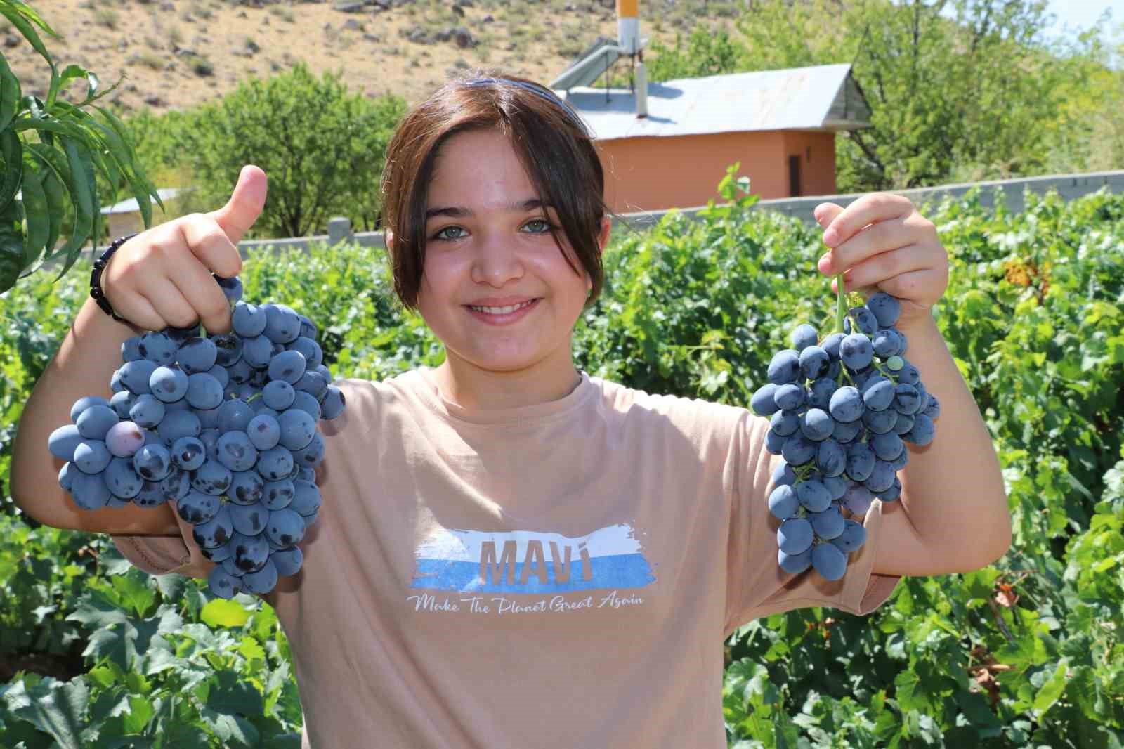 Cimin &Uuml;z&uuml;m&uuml; hastalıklara şifa
