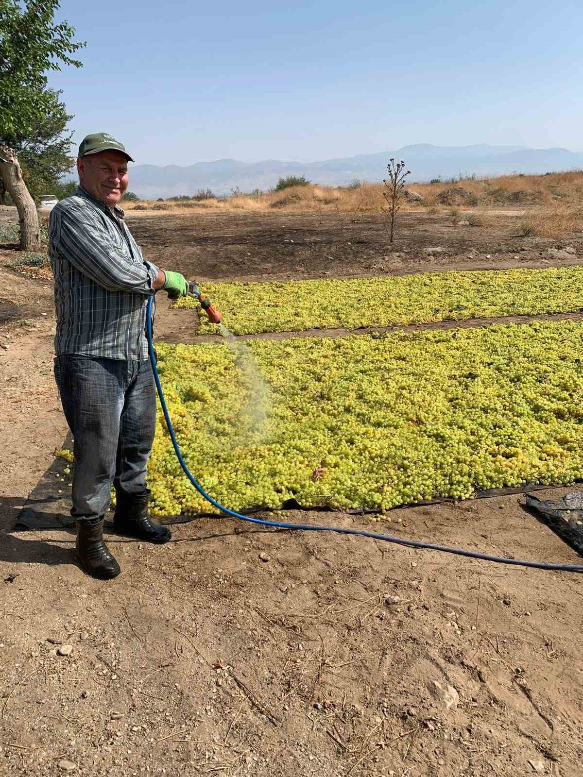 Yaş üzüme talep azalınca üretici kurutmaya yöneldi
