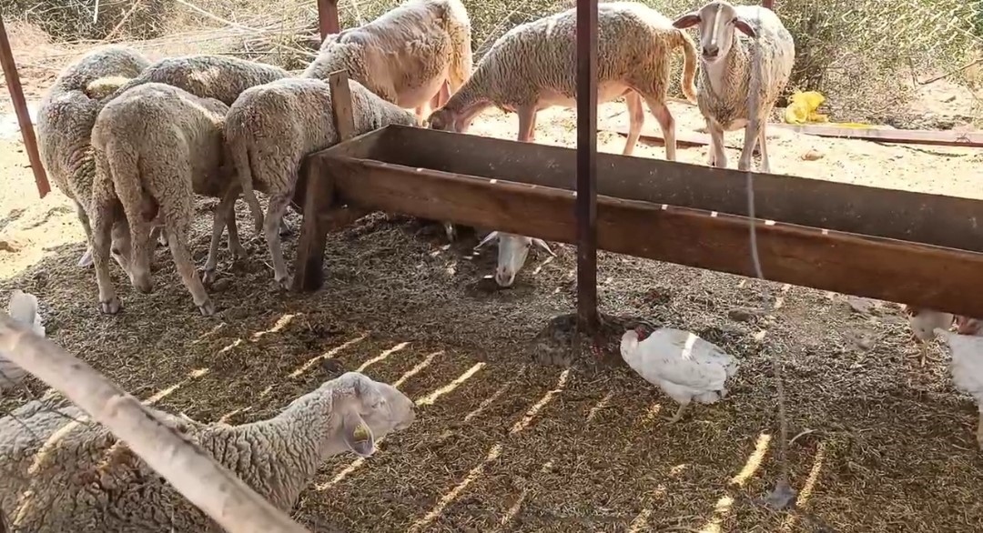 Üç aydır evlerine içme suyu hattı çekilmesini bekleyen köylülerin 5 gündür de suyu kesik
