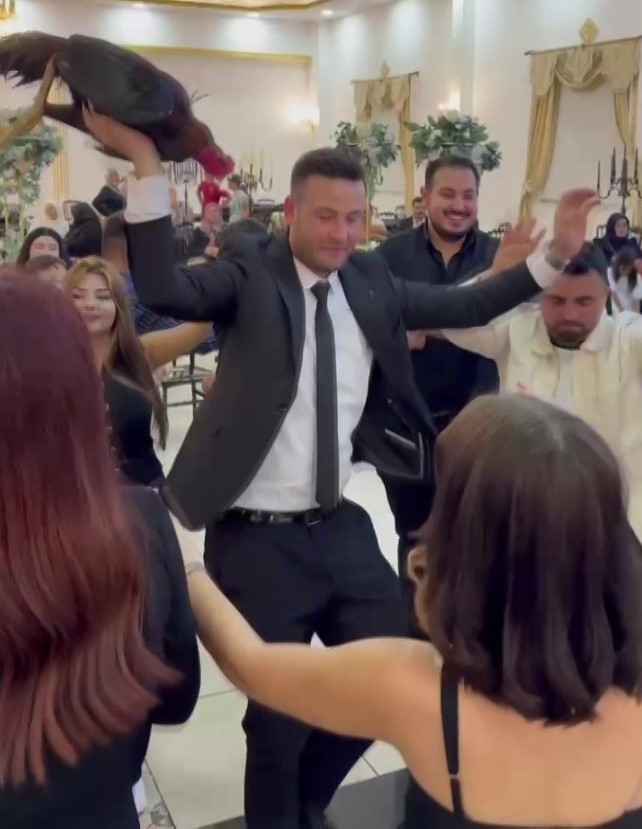 Amasya’da düğünde damada 250 bin TL değerinde Hint horozu hediye edildi