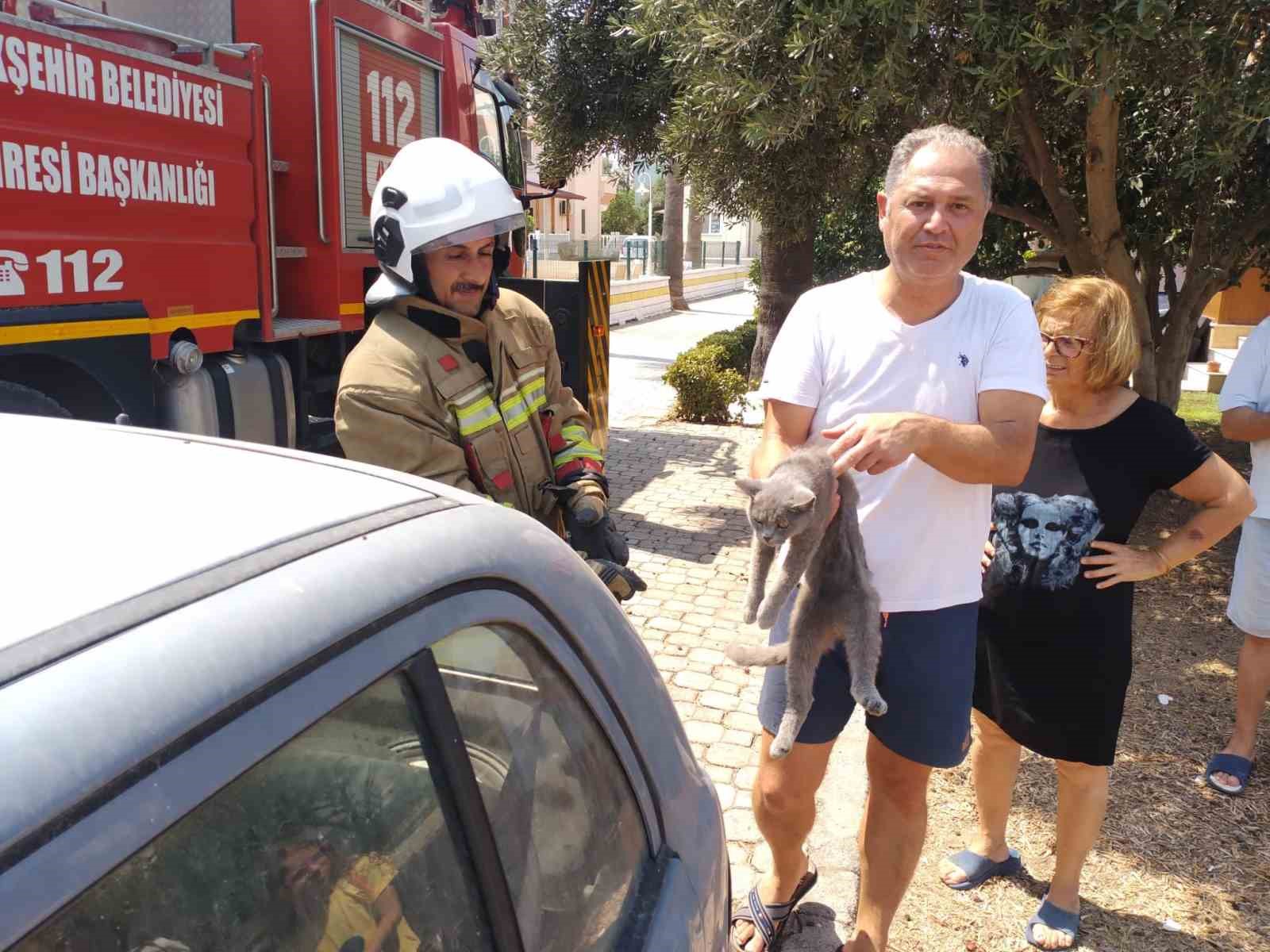 Hatay’da palmiyede mahsur kalan kedi ekipler tarafından kurtarıldı