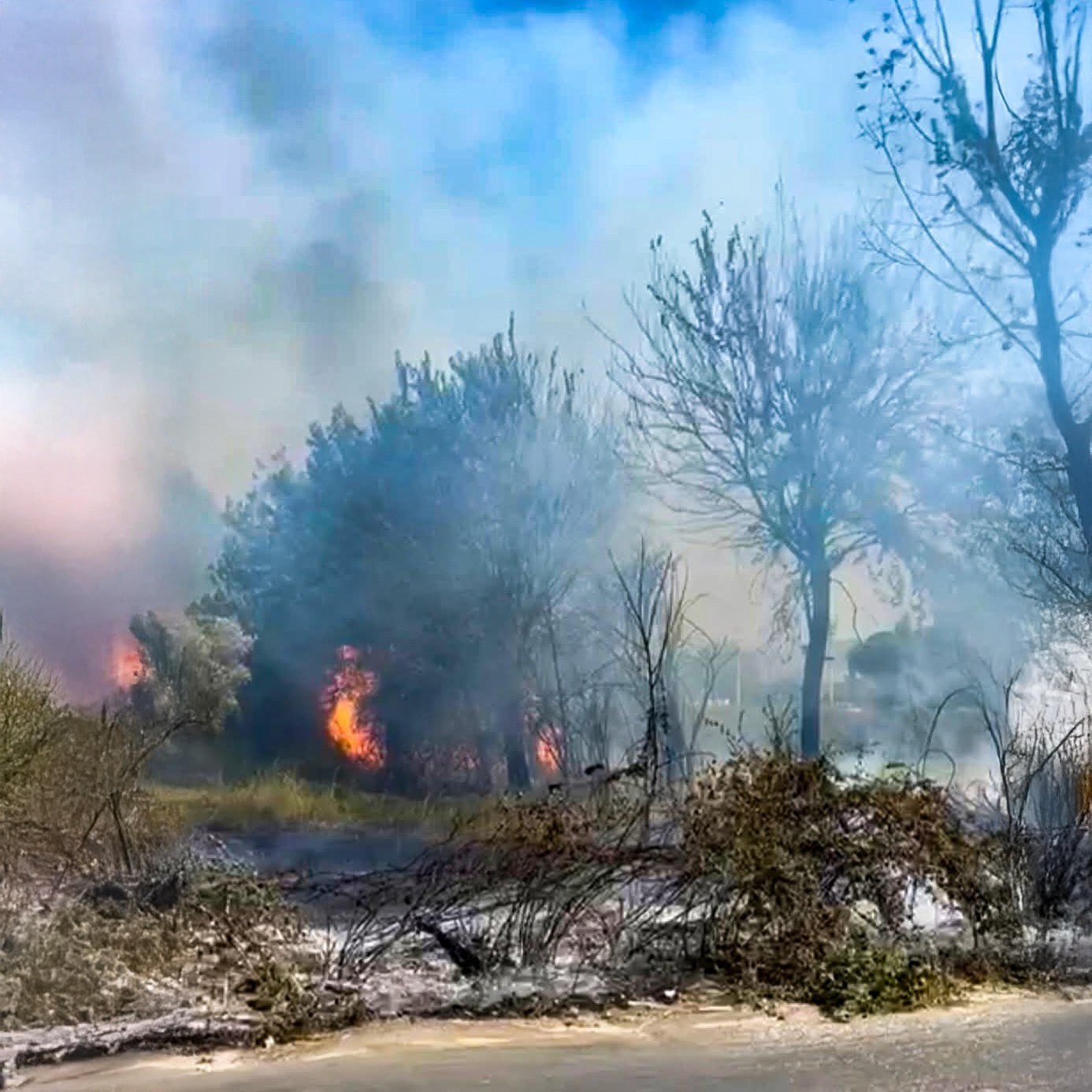 Efeler&rsquo;deki yangına itfaiye ekiplerinden hızlı m&uuml;dahale
