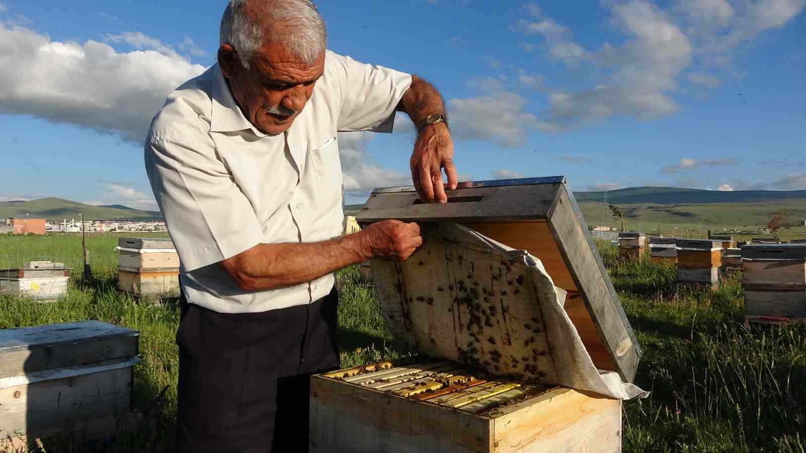 Ardahan&rsquo;da 450 ton bal &uuml;retildi
