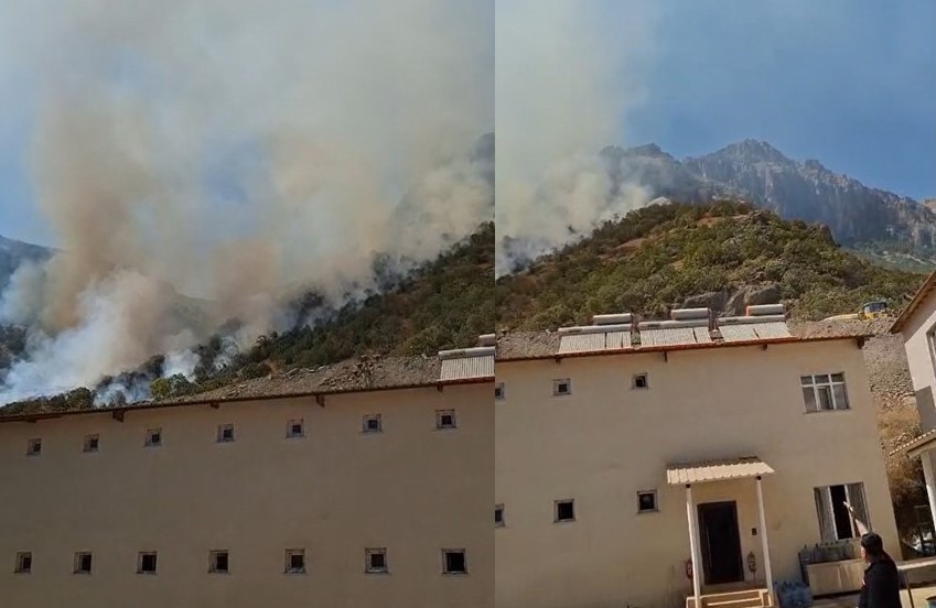 Hakkari-Çukurca kara yolundaki makilik alanda yangın çıktı