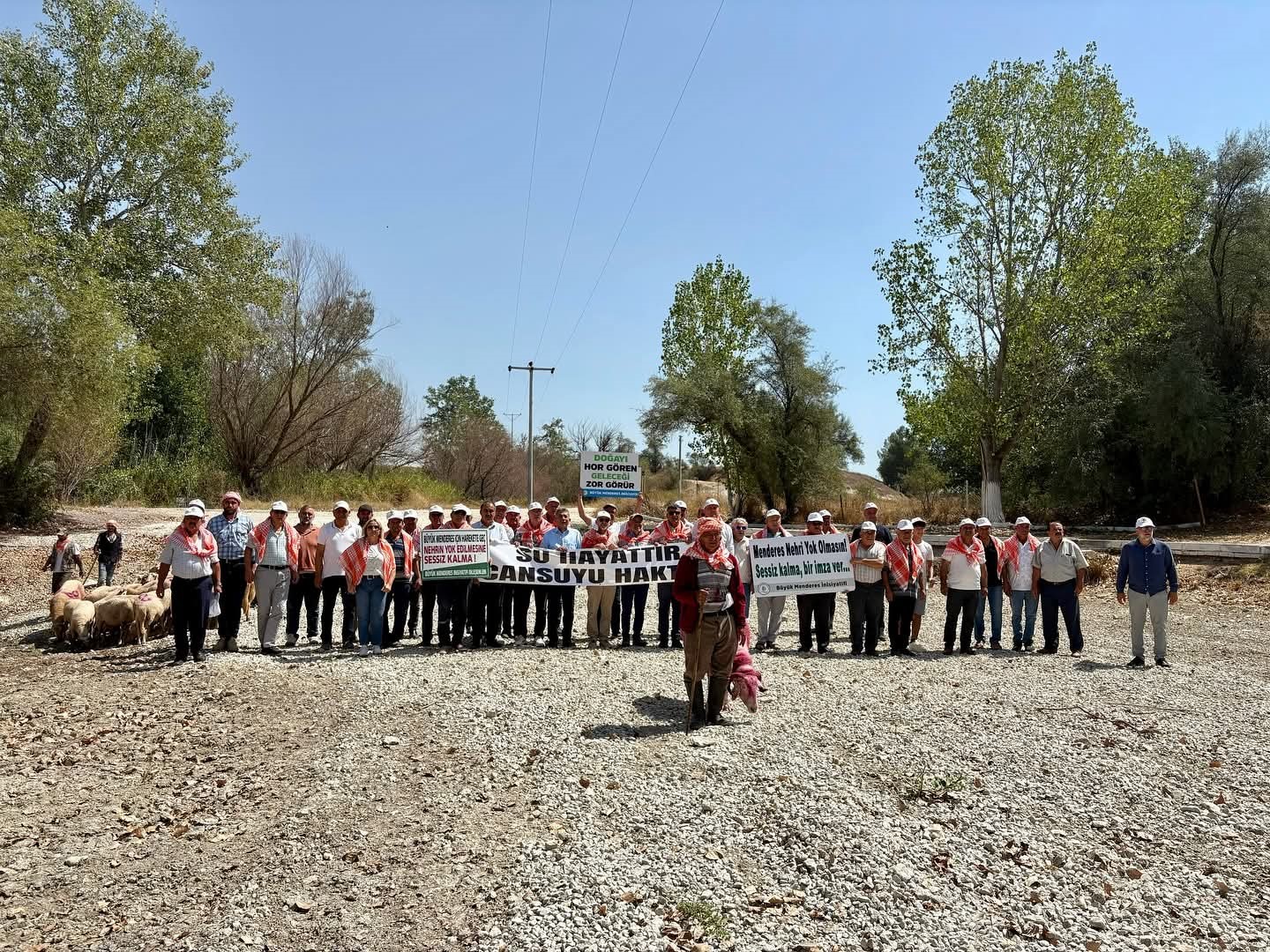Kınalı koyunlar suya değil, kurumuş toprağa atladı
