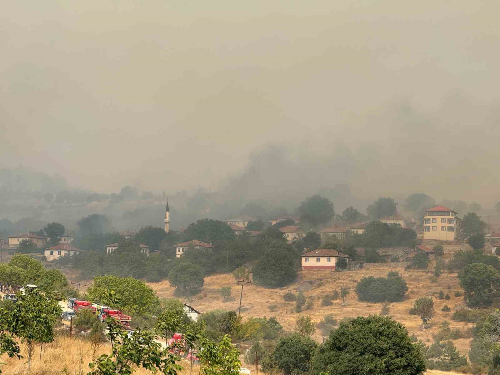 Kastamonu&rsquo;daki orman yangını k&ouml;ye ulaştı
