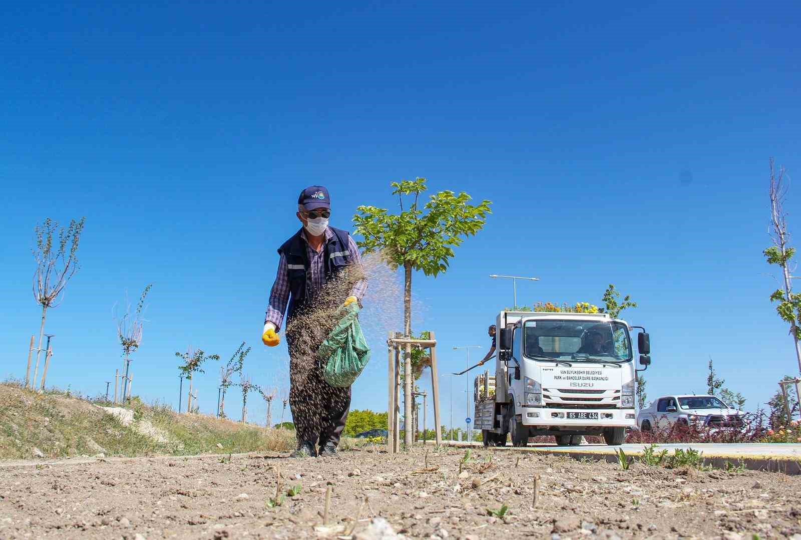 Sahil yolunda geniş kapsamlı peyzaj &ccedil;alışması y&uuml;r&uuml;t&uuml;yor
