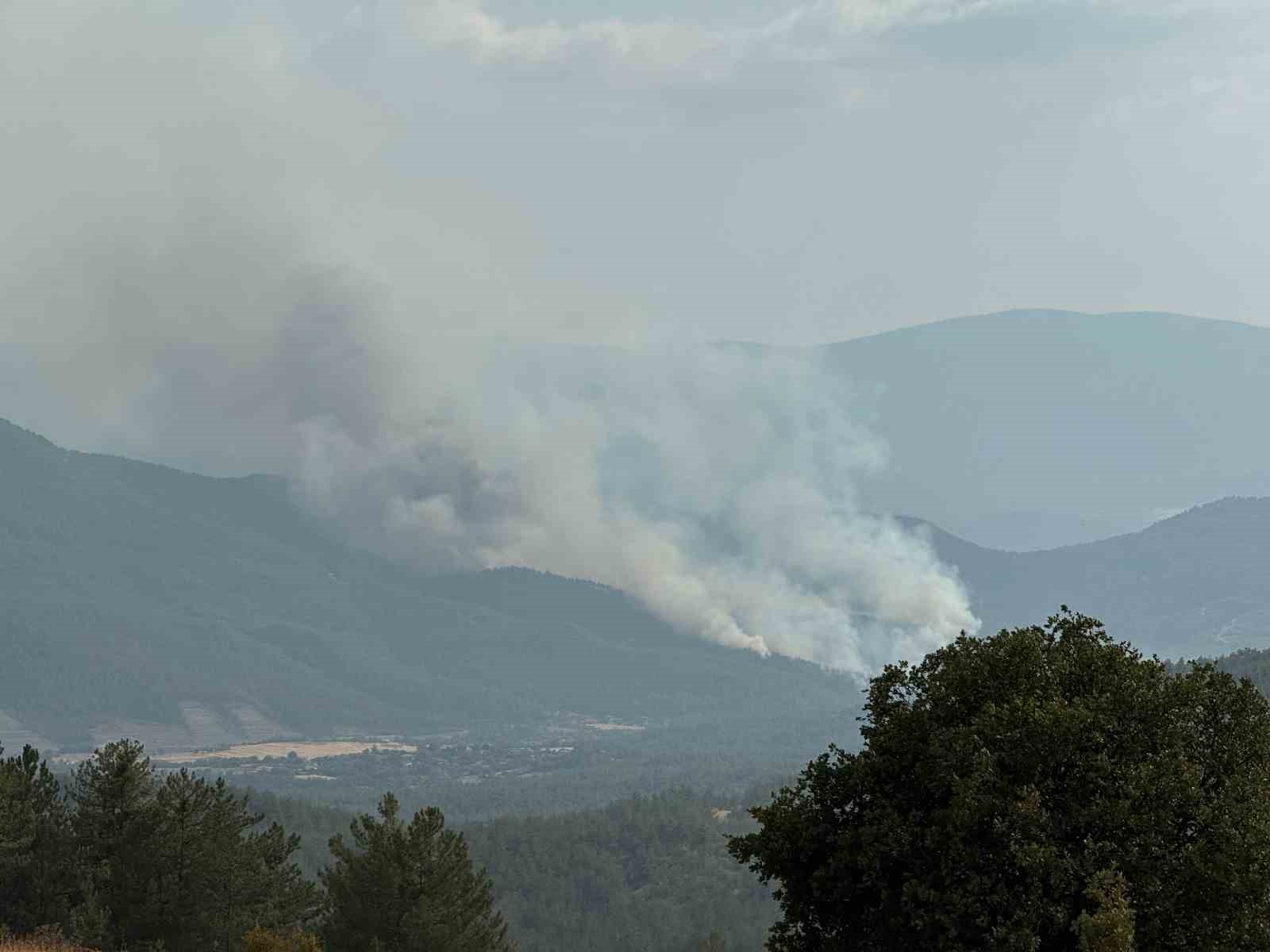 Karab&uuml;k&rsquo;te yeni orman yangını &ccedil;ıktı
