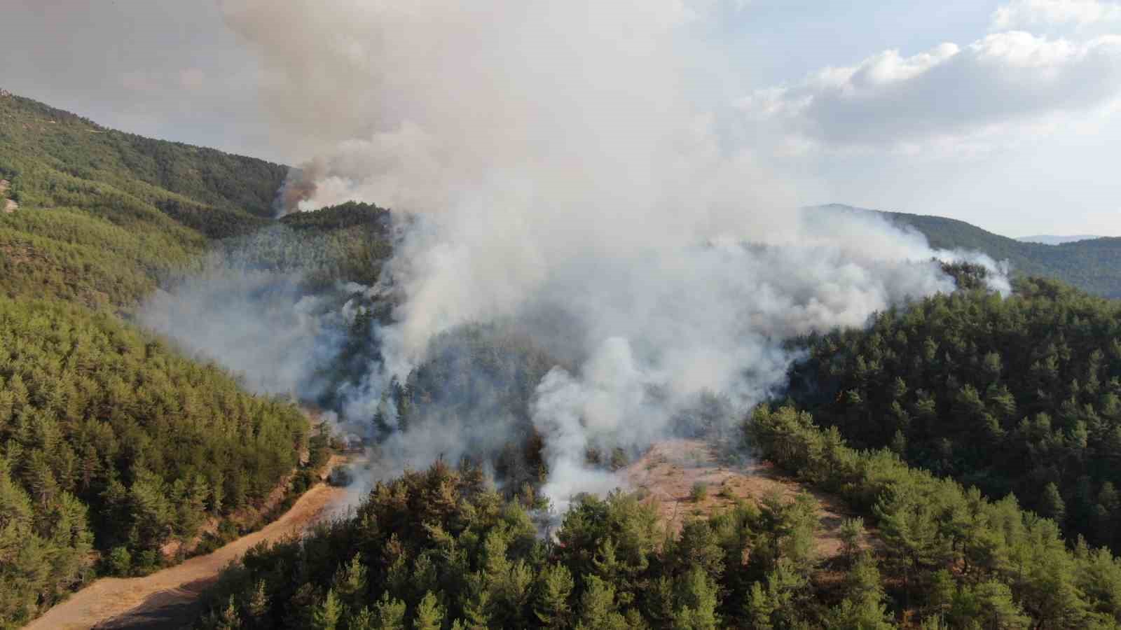 Kastamonu-Karabük sınırında ikinci orman yangını: Havadan ve karadan müdahale ediliyor
