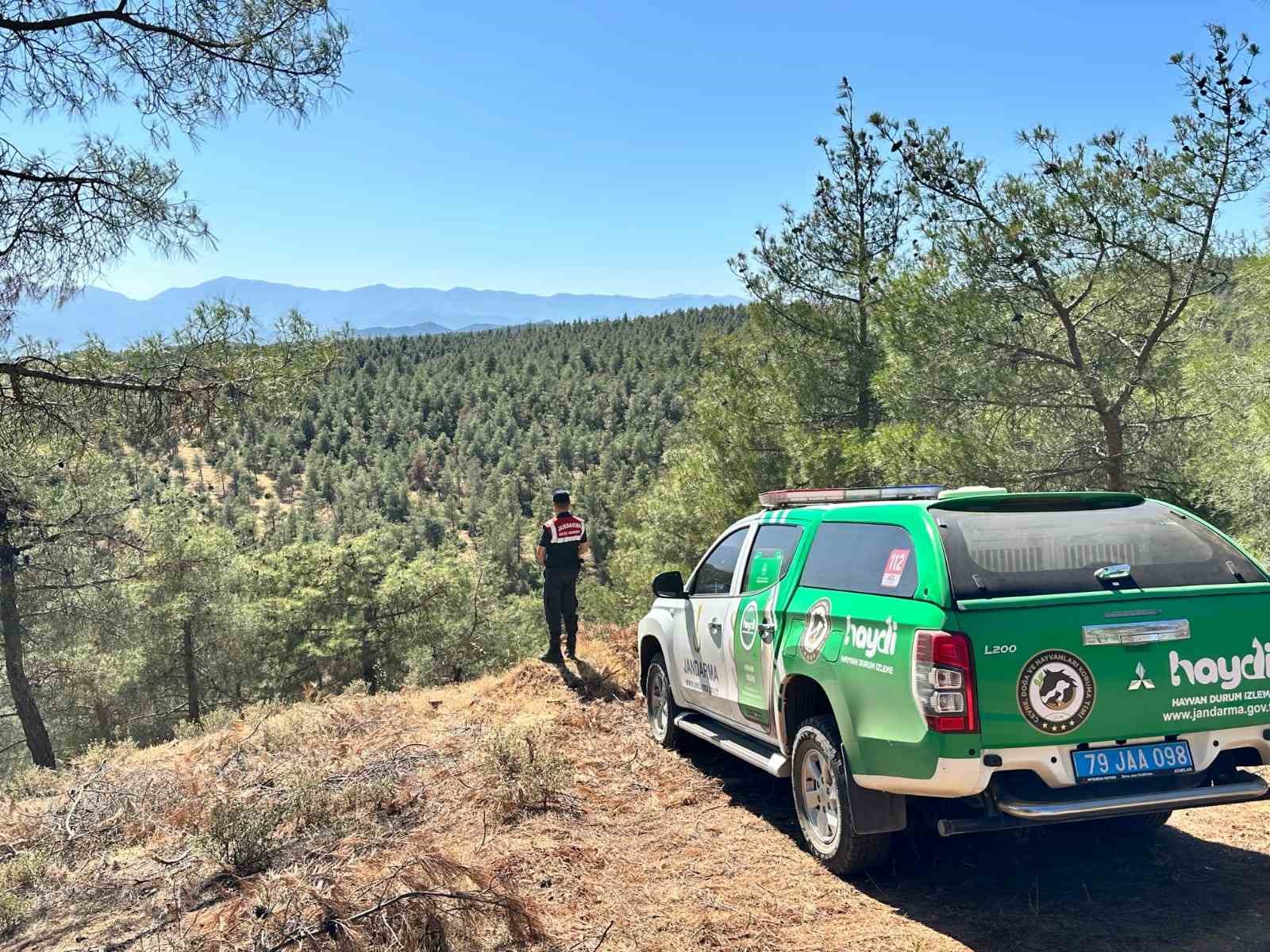 Kilis’te orman yangınlarına karşı denetim ve kontrol faaliyeti