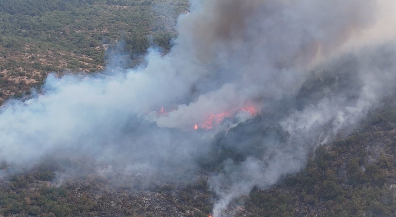 Karabük’teki yangınla ilgili 5 kişi gözaltına alındı