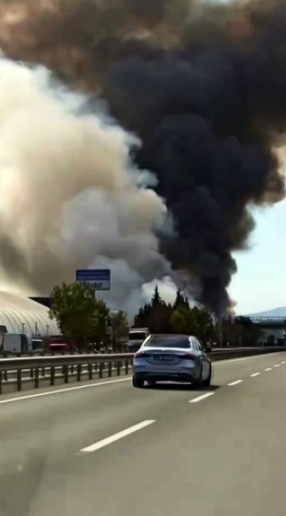 D-650’de korkutan yangın: Ağaçlar alev topuna döndü, trafik durduruldu
